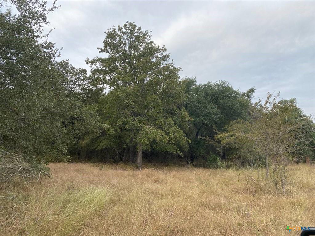 Tbd County Road 405 None Property Photo 1