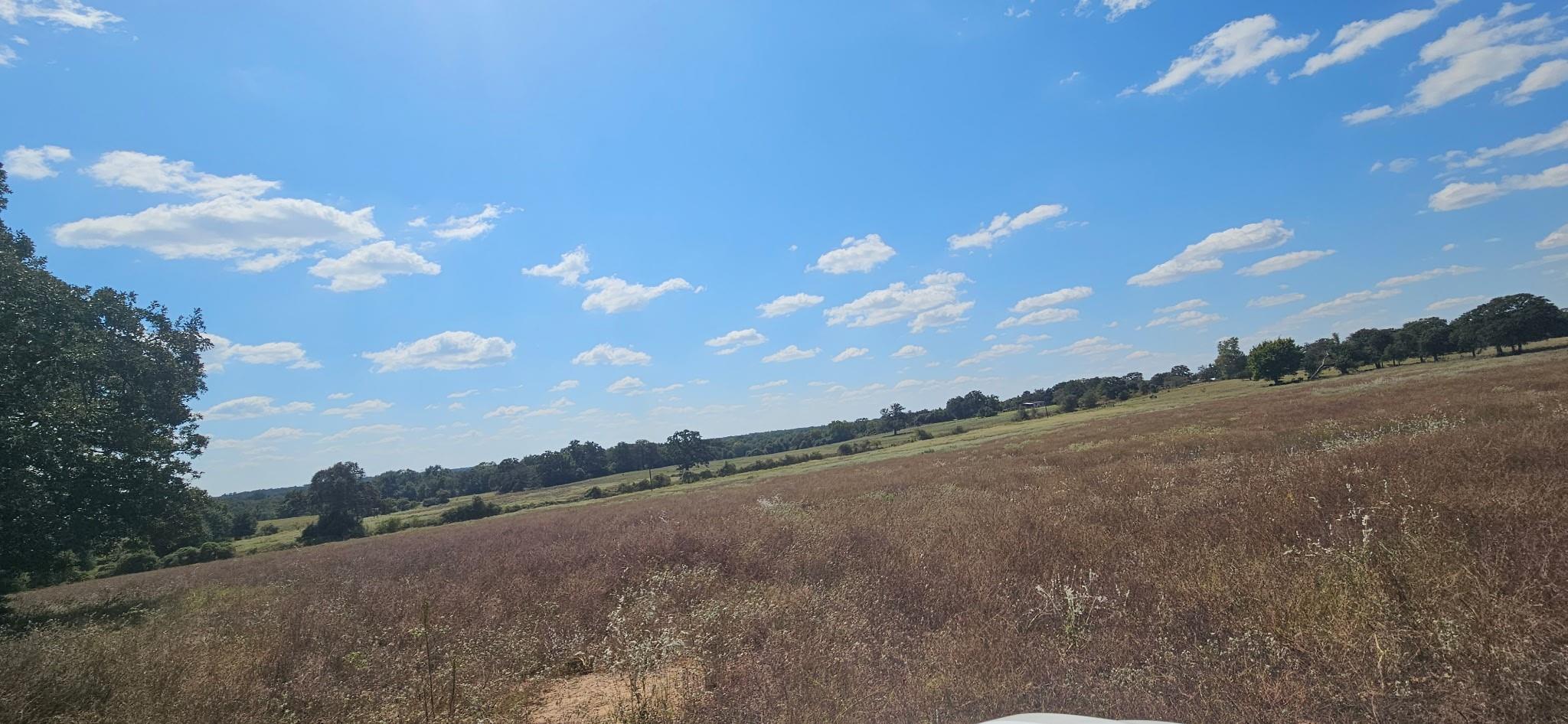 Tbd County Road 342 Property Photo 2