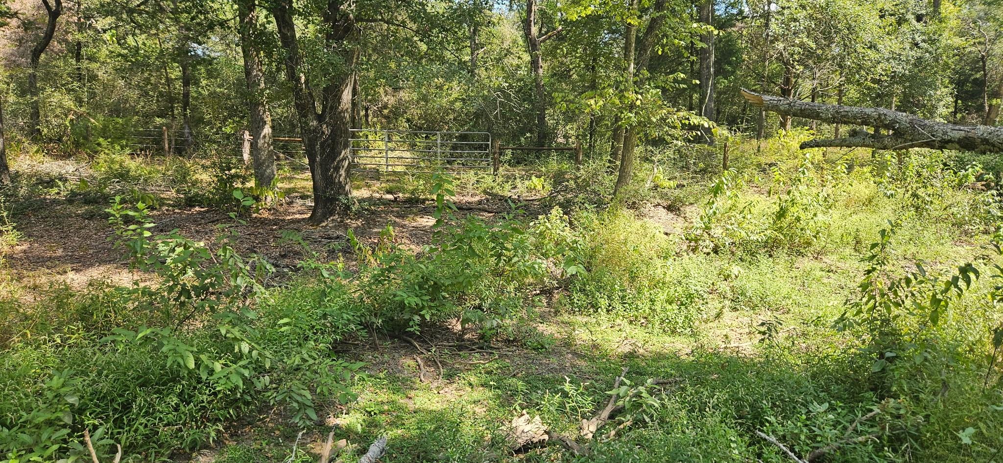 Tbd County Road 342 Property Photo 3