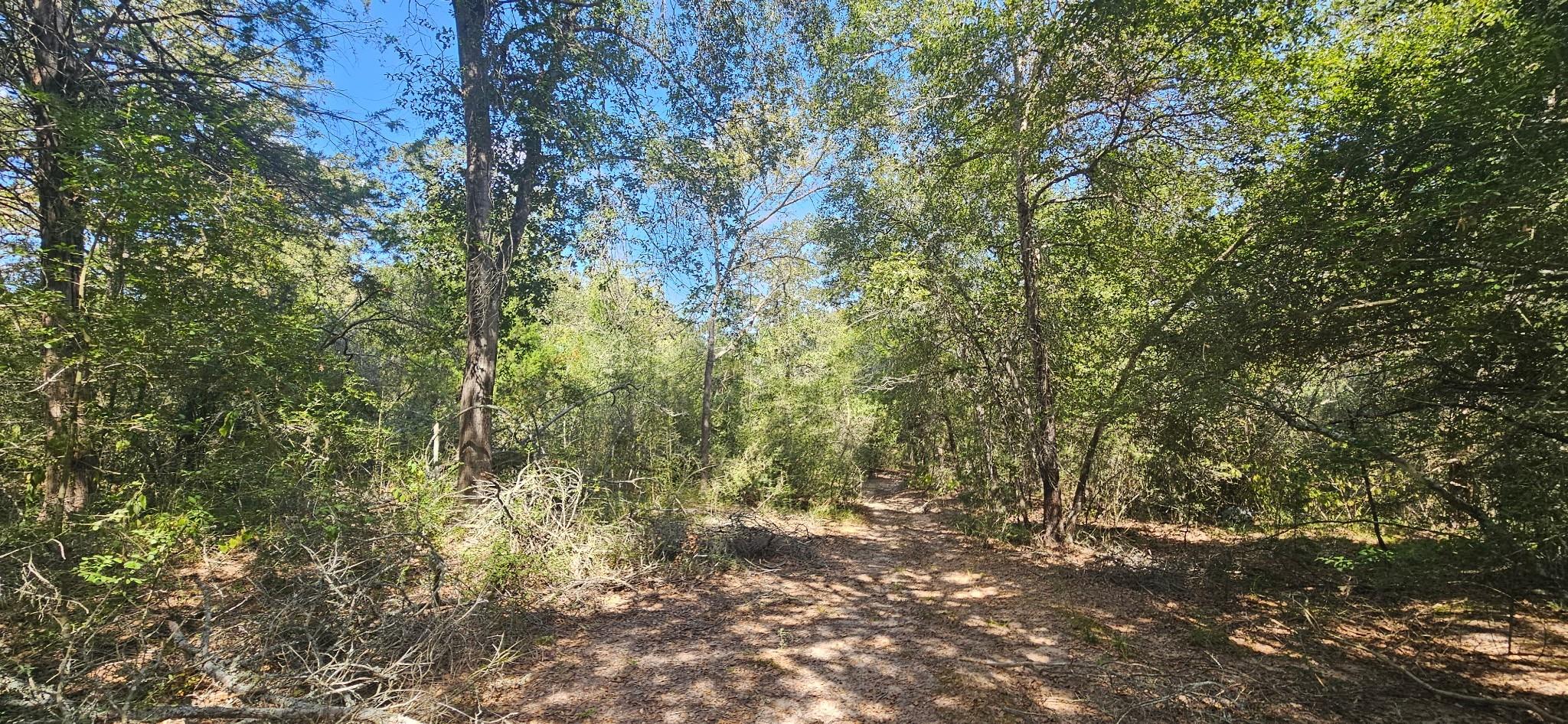 Tbd County Road 342 Property Photo 4