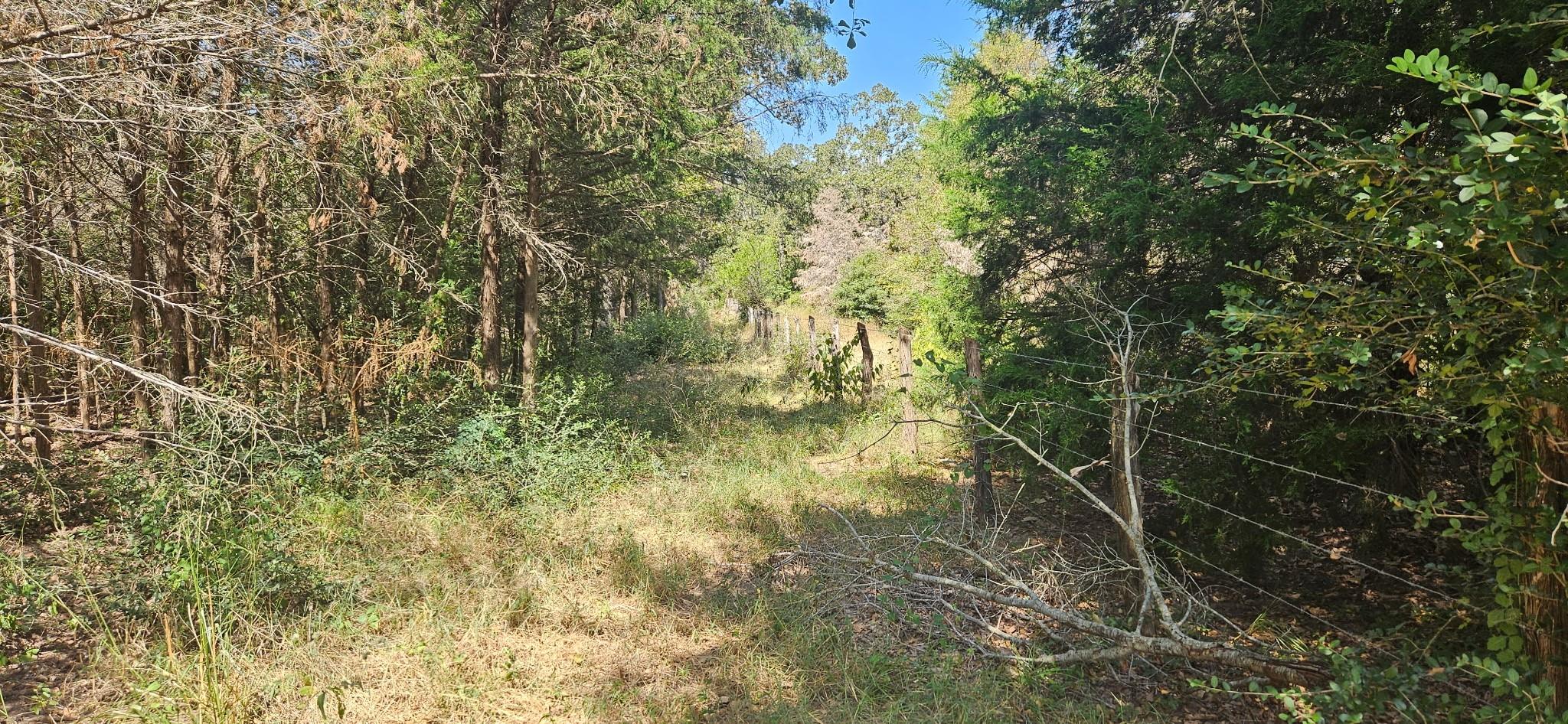 Tbd County Road 342 Property Photo 5