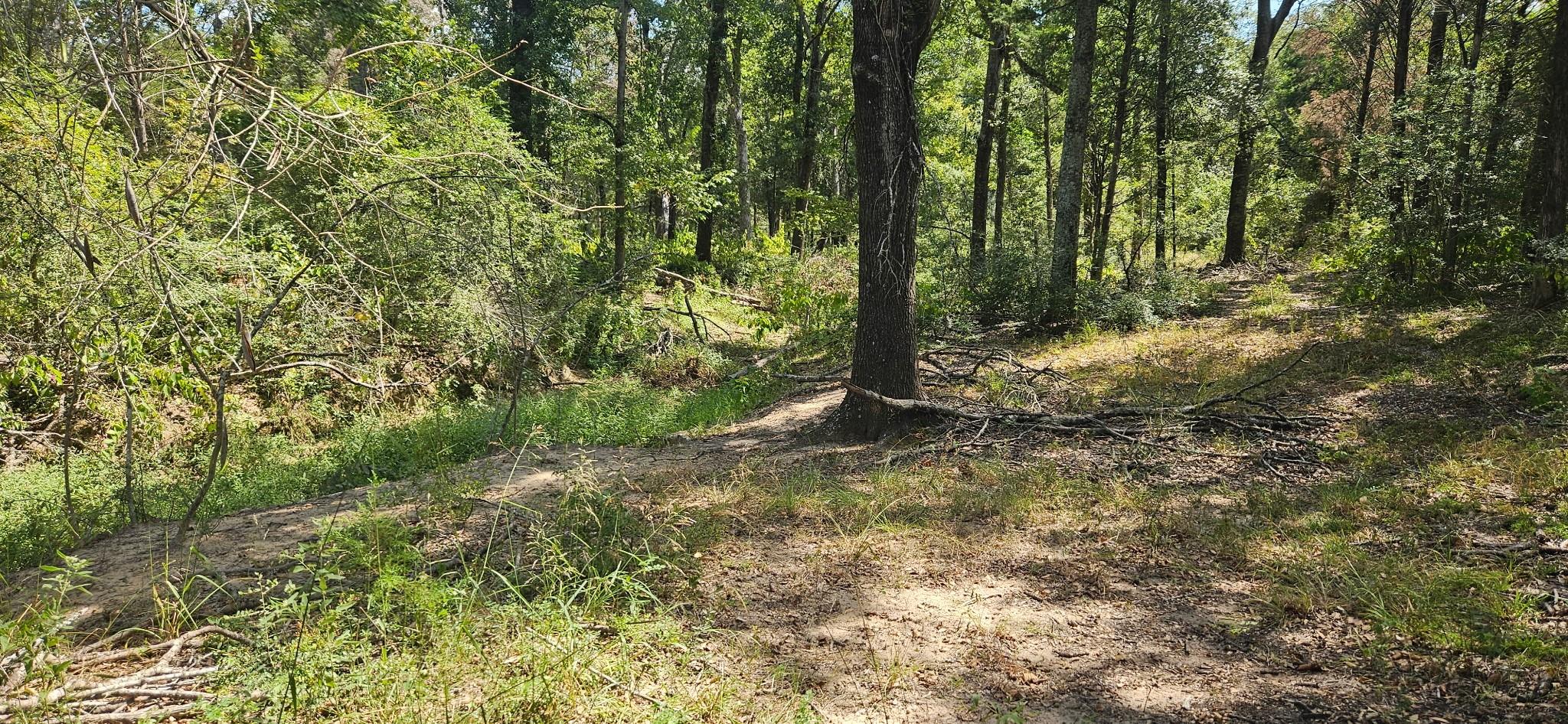 Tbd County Road 342 Property Photo 6