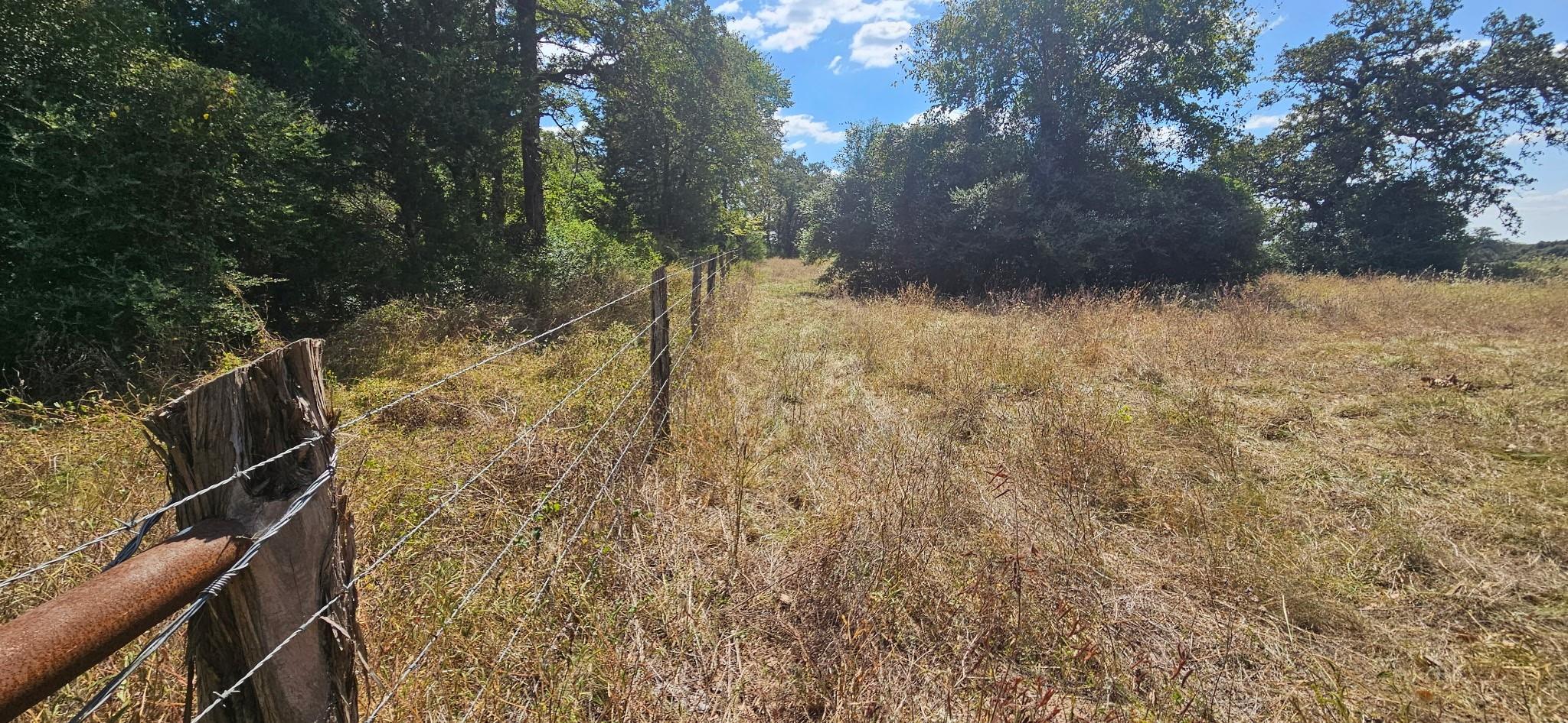 Tbd County Road 342 Property Photo 7