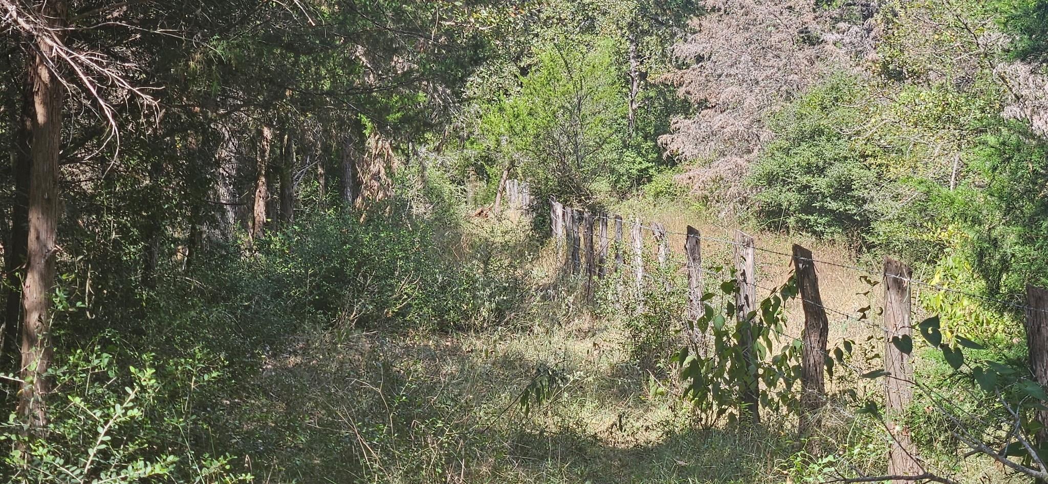 Tbd County Road 342 Property Photo 8