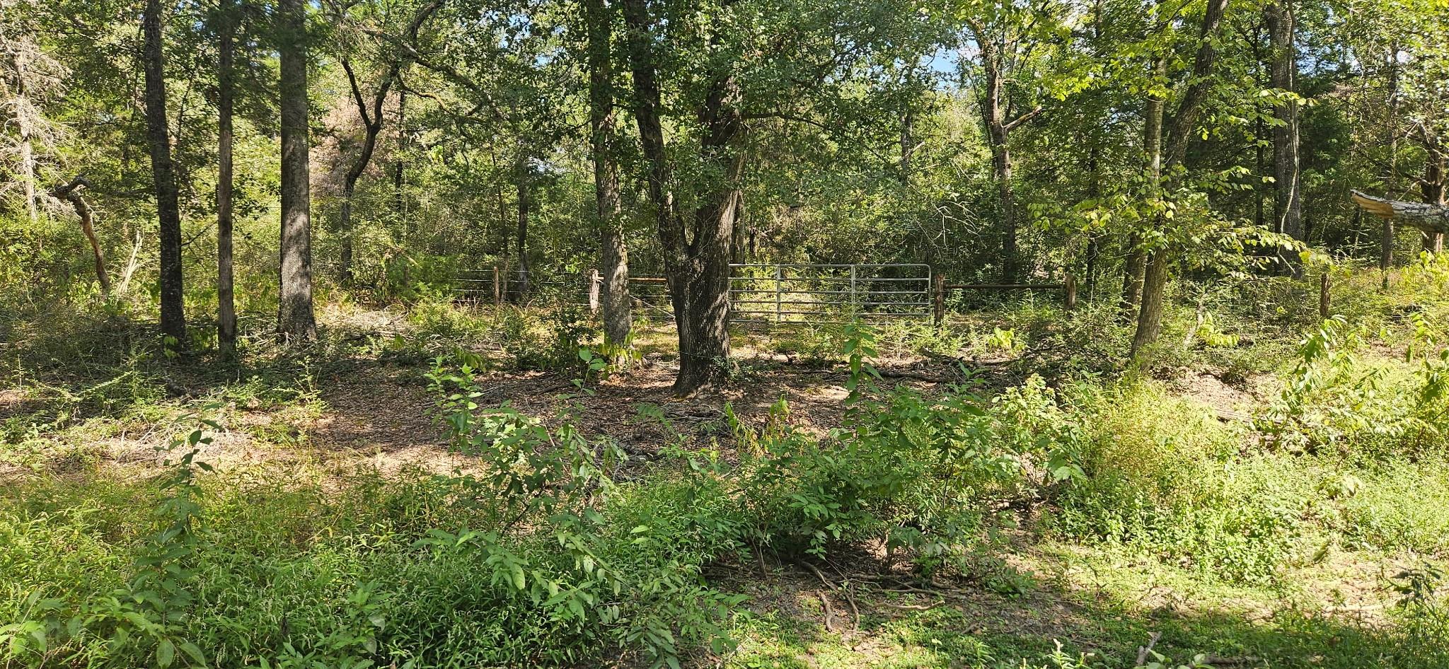 Tbd County Road 342 Property Photo 9