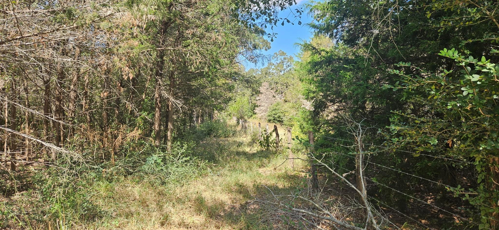 Tbd County Road 342 Property Photo 10