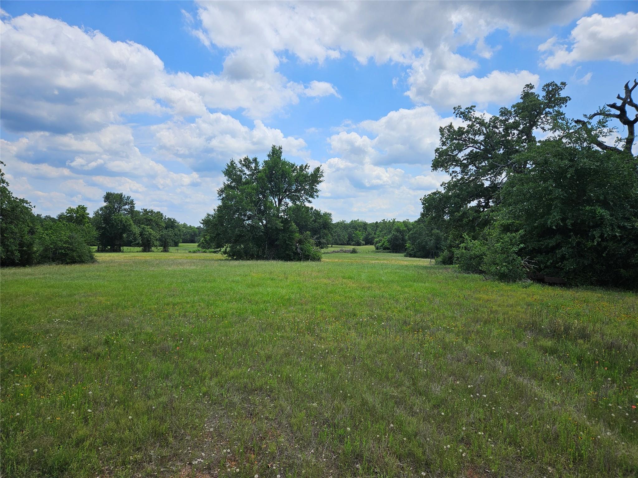 000 TBD CR 346 Rd Property Photo 1