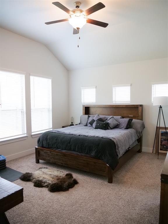 9621 Evening Canopy Dr Property Photo 21