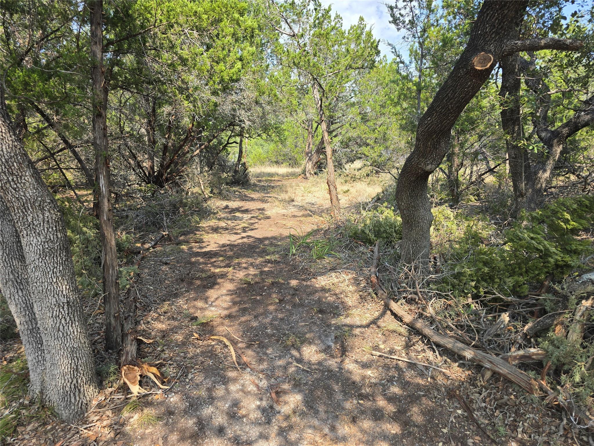 9933 Little Creek Cir Property Photo 11