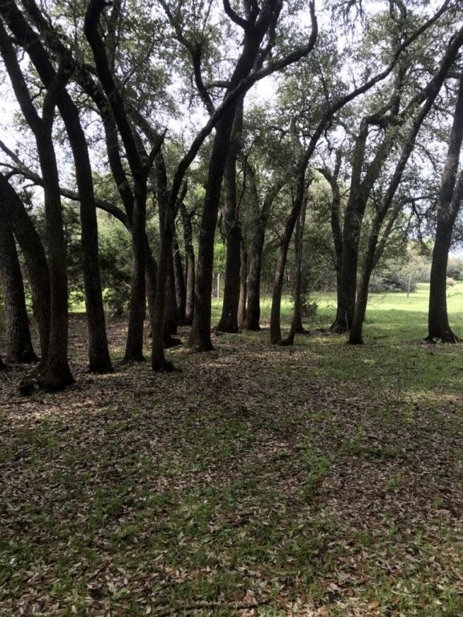 555 River Run Property Photo 8