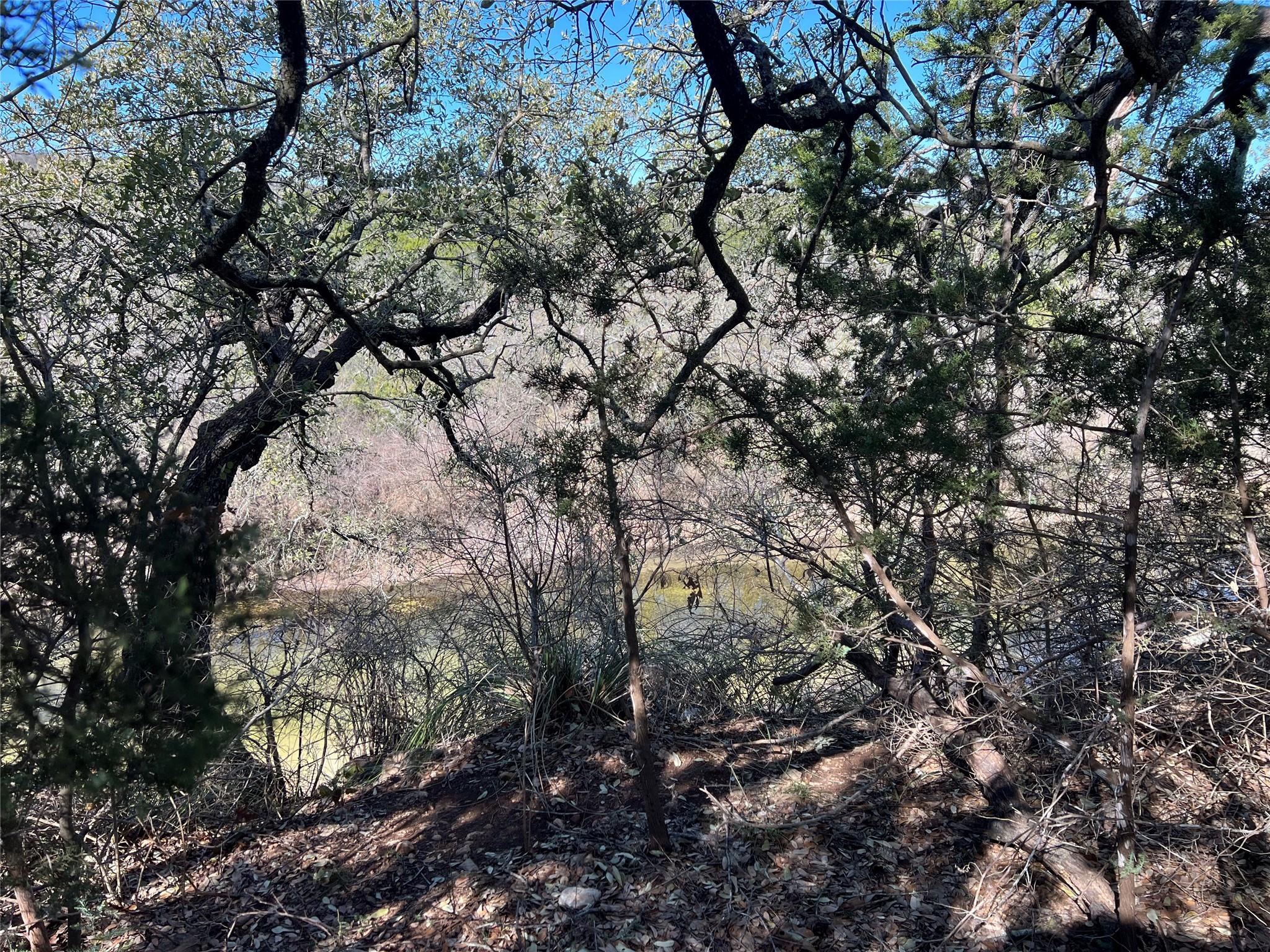 555 River Run Property Photo 22