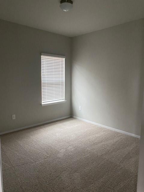 2751 Winding Creek Rd Property Photo 7