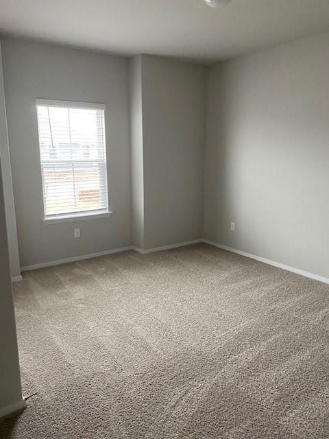 2751 Winding Creek Rd Property Photo 10