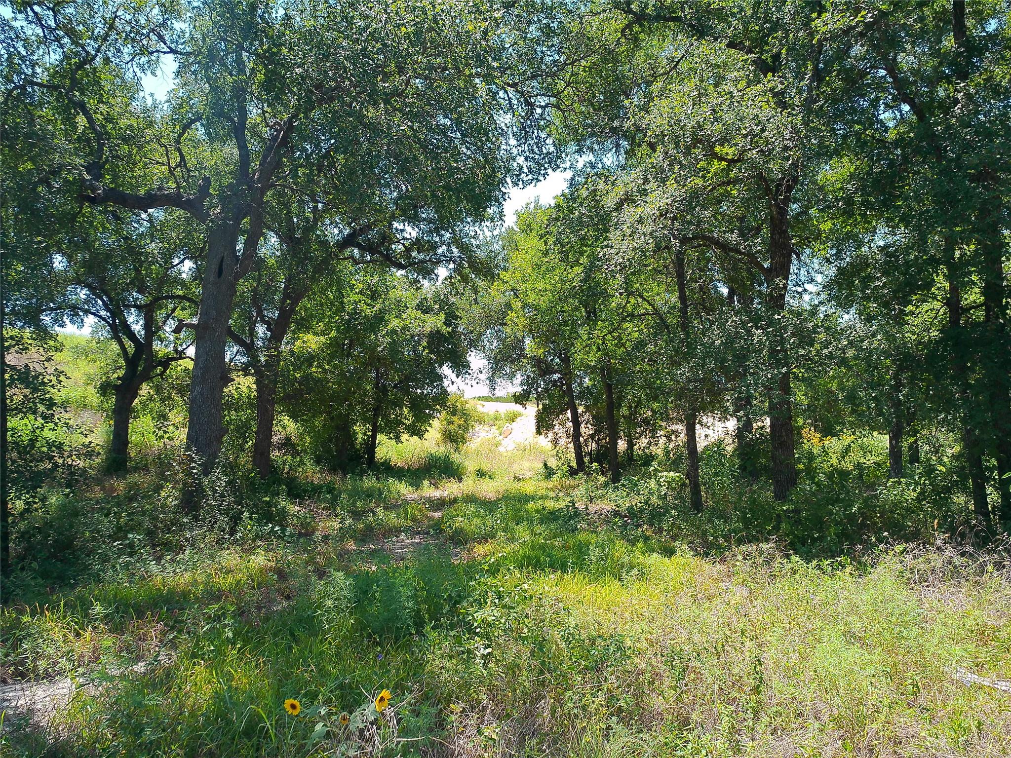 212 Serenity Dr Property Photo 3