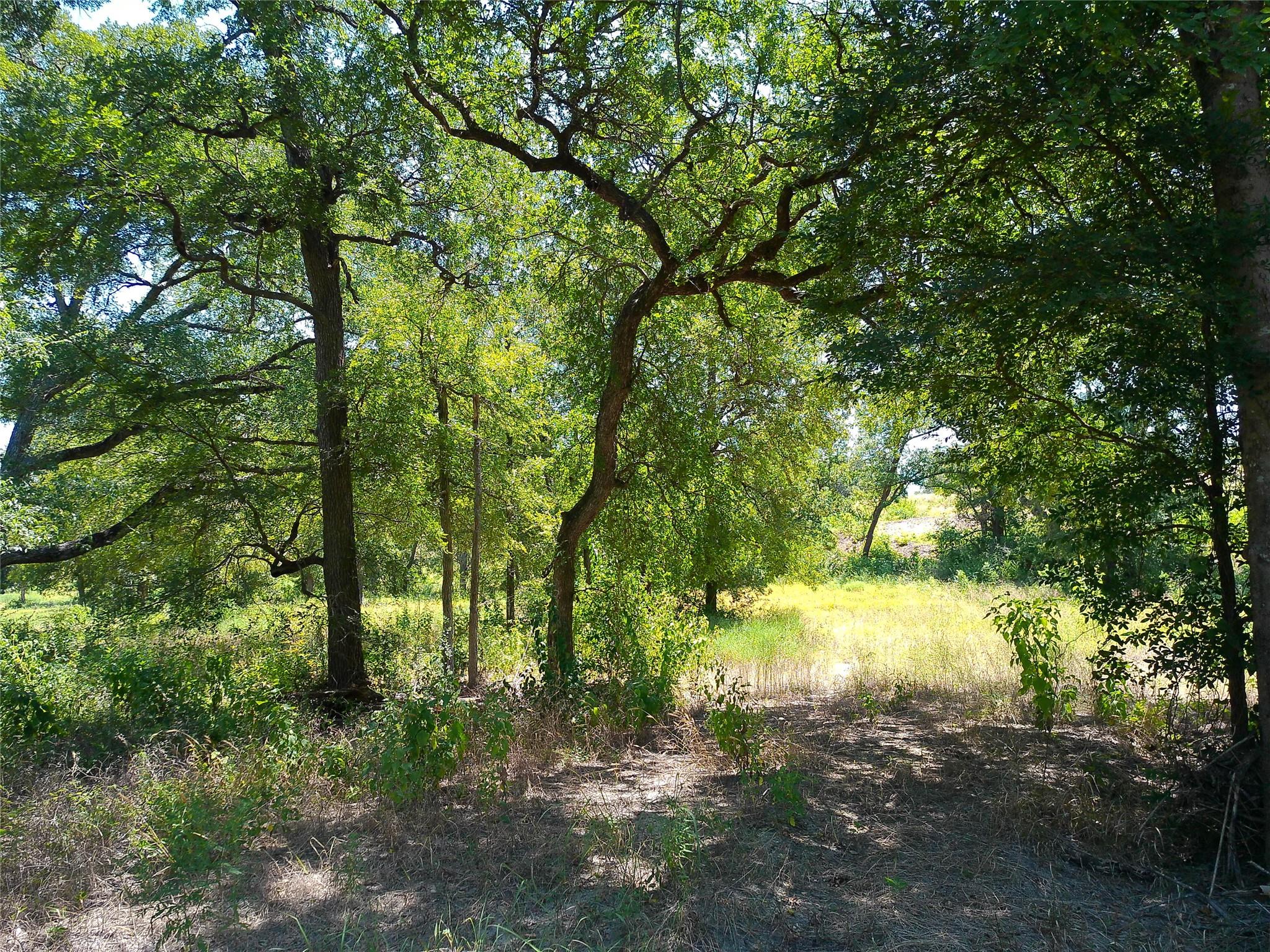 212 Serenity Dr Property Photo 4