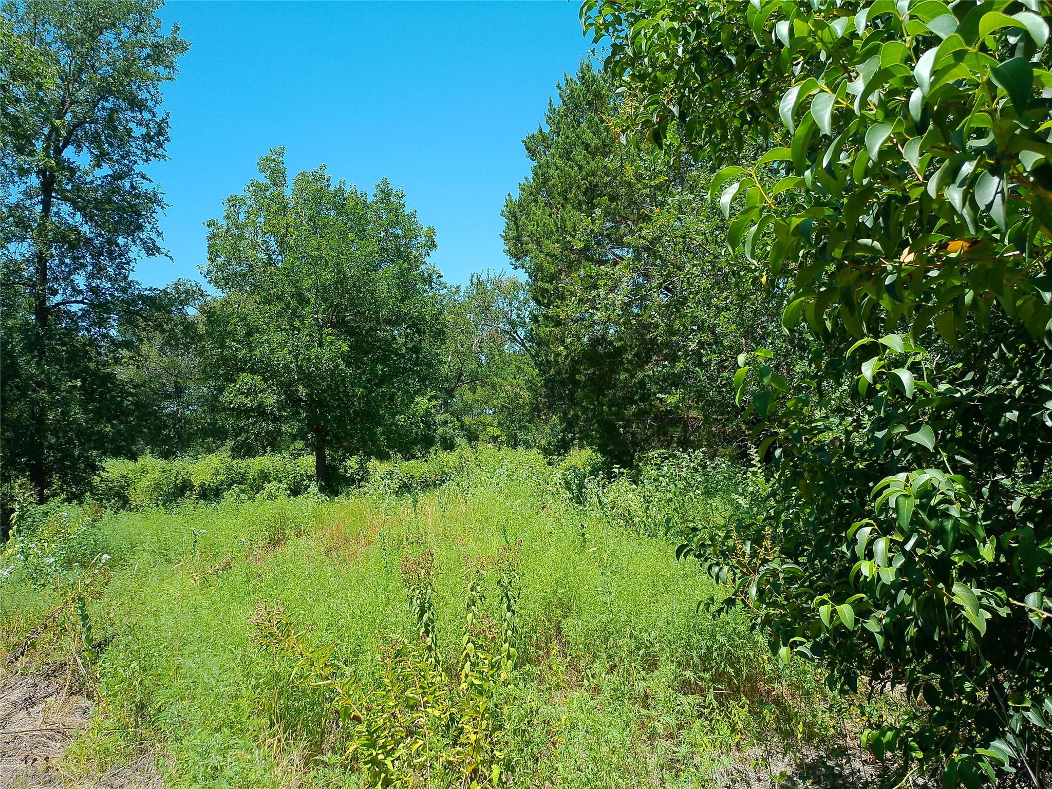 212 Serenity Dr Property Photo 5