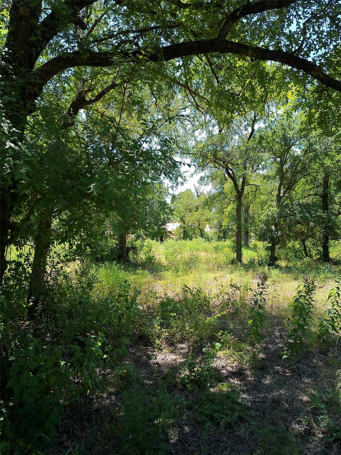 212 Serenity Dr Property Photo 12