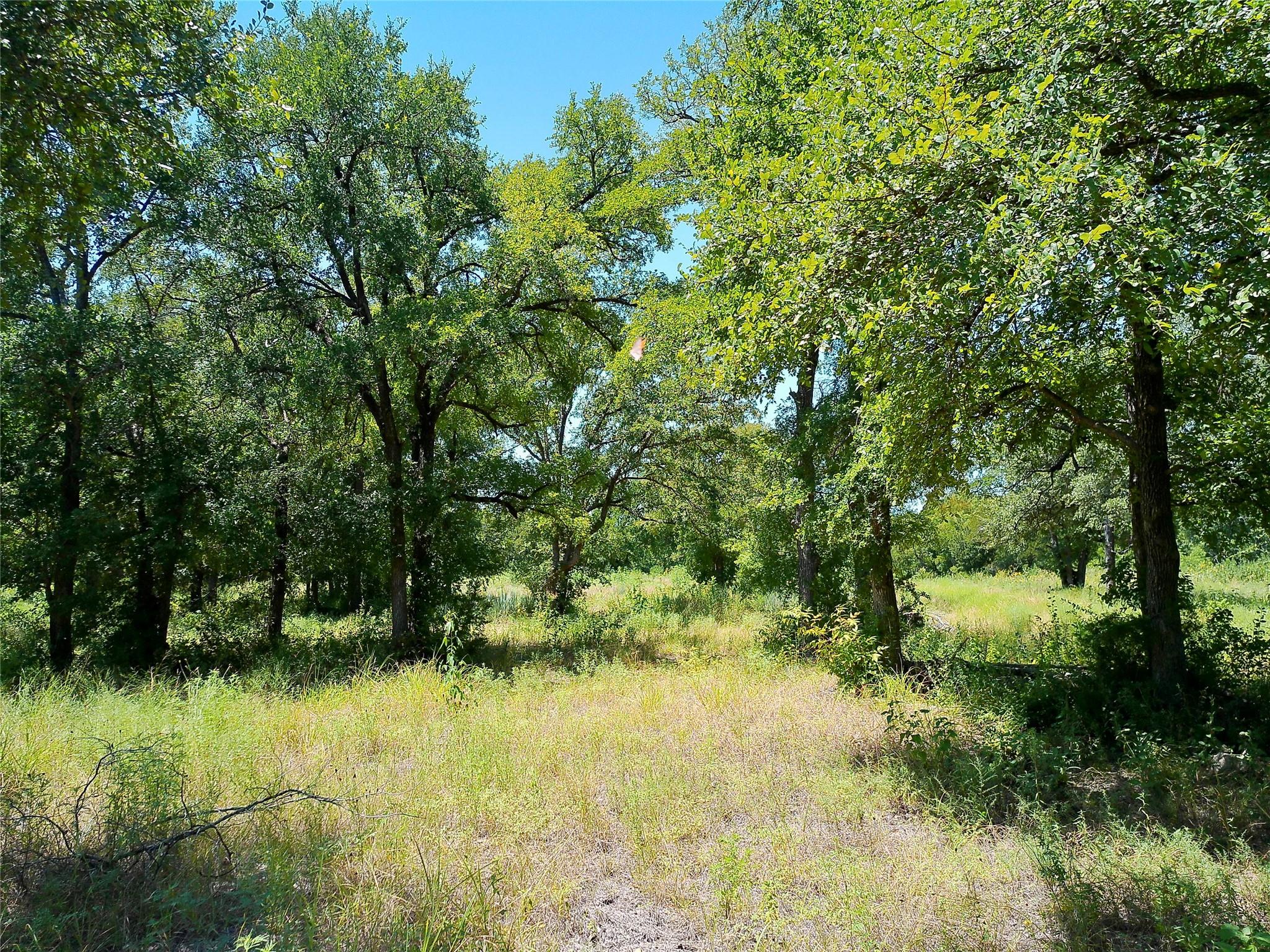 212 Serenity Dr Property Photo 18