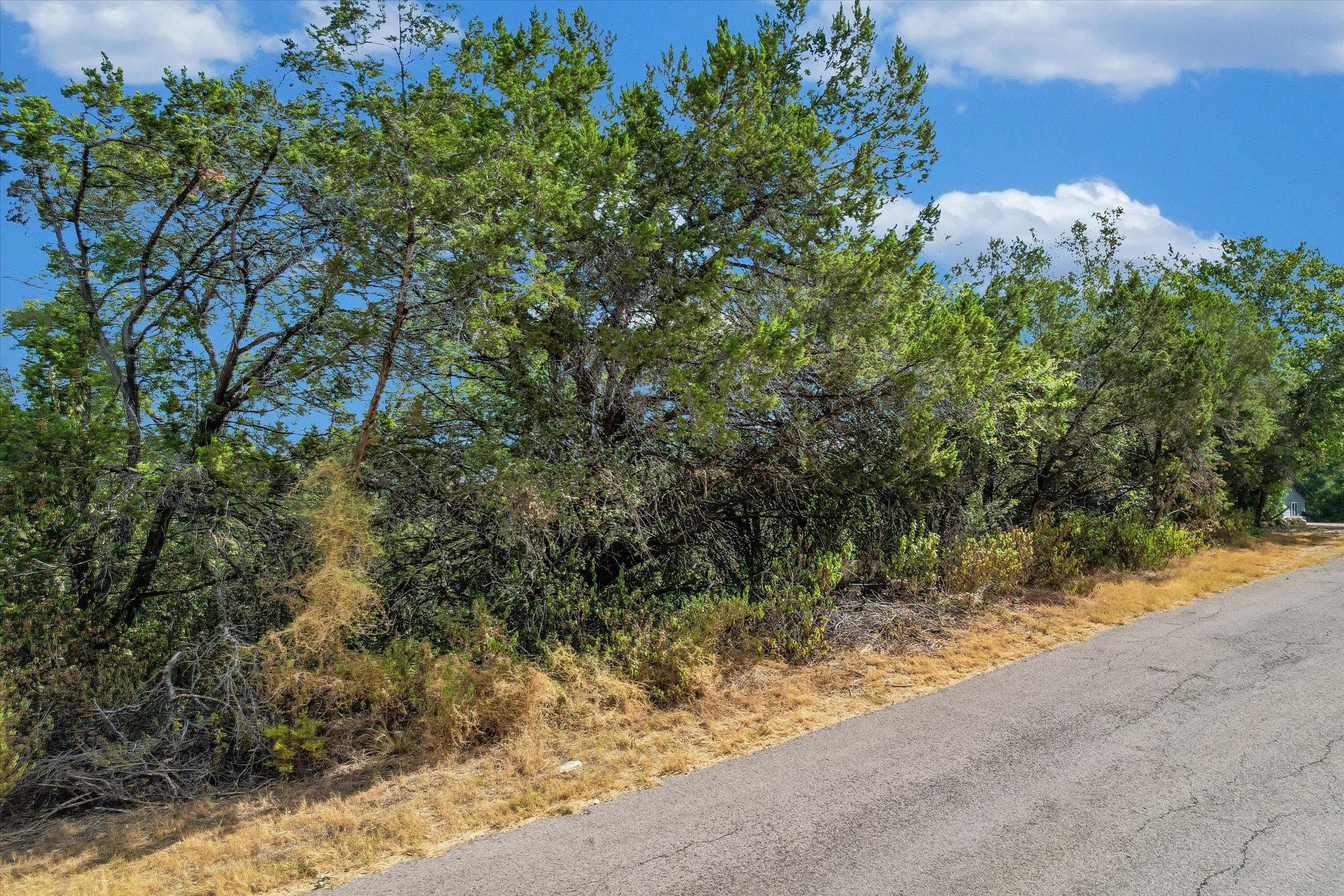 2410 Crazyhorse Pass Property Photo 4