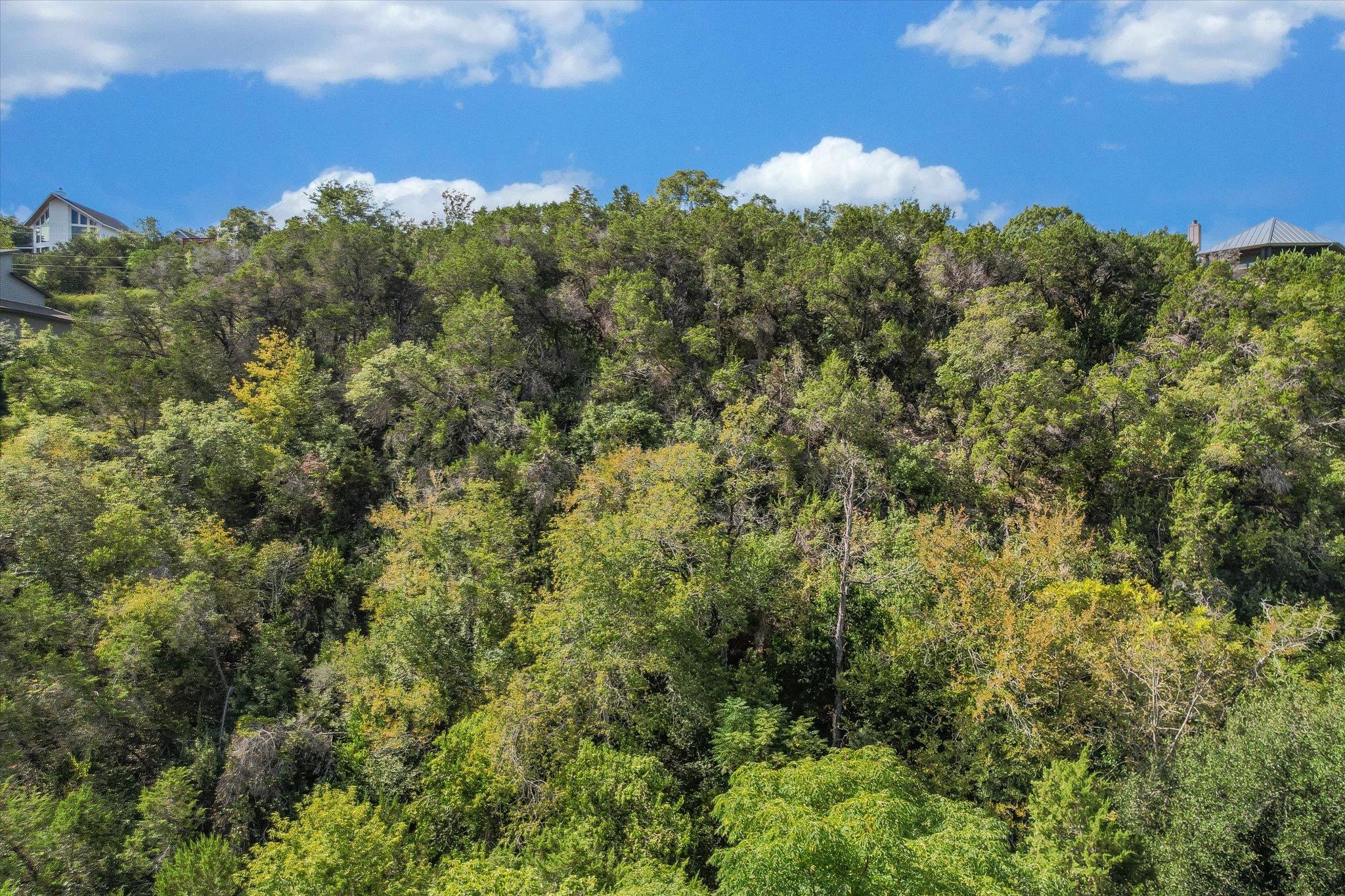 2410 Crazyhorse Pass Property Photo 5