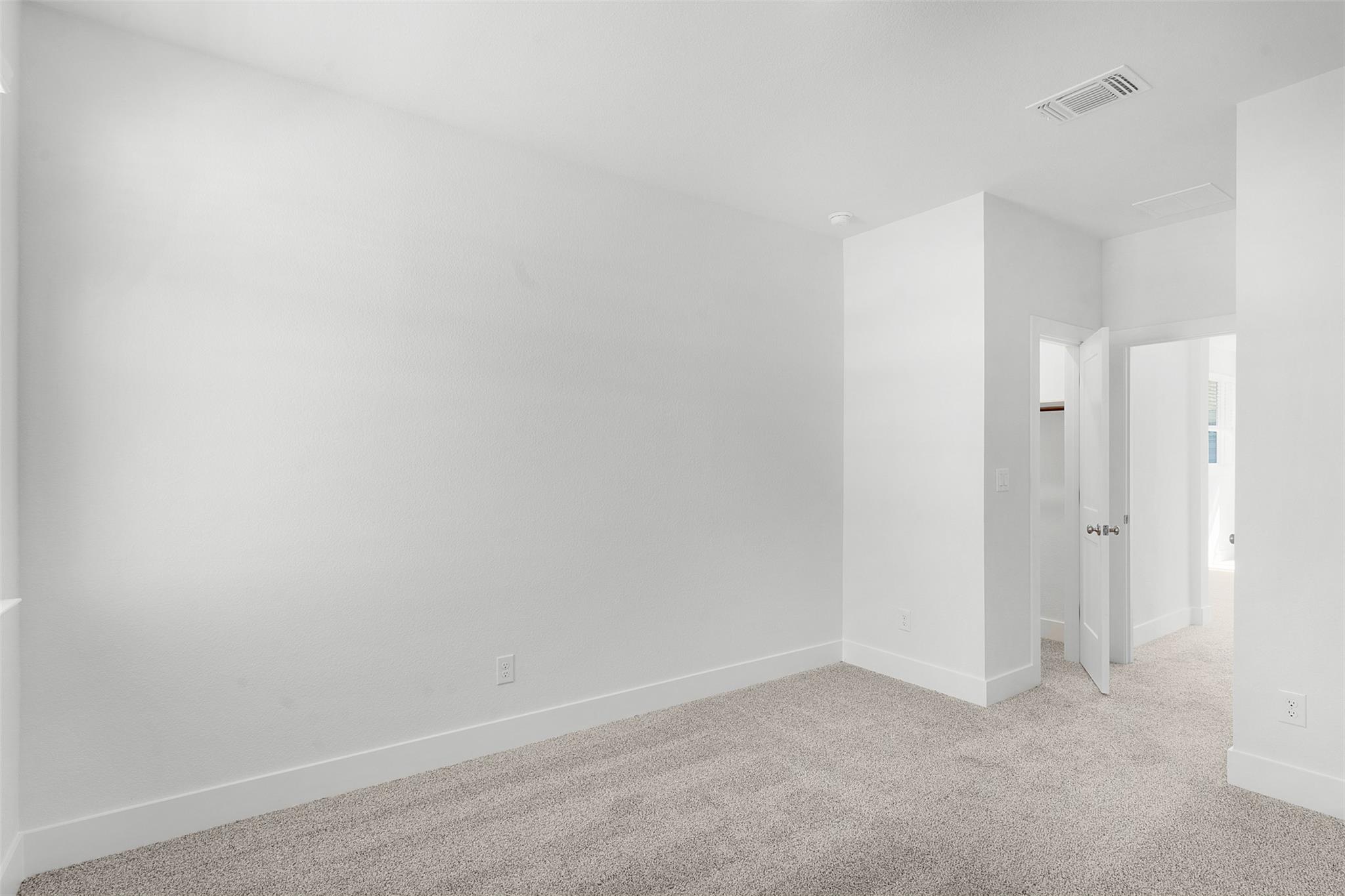 441 Blue Vervain Trl Property Photo 19