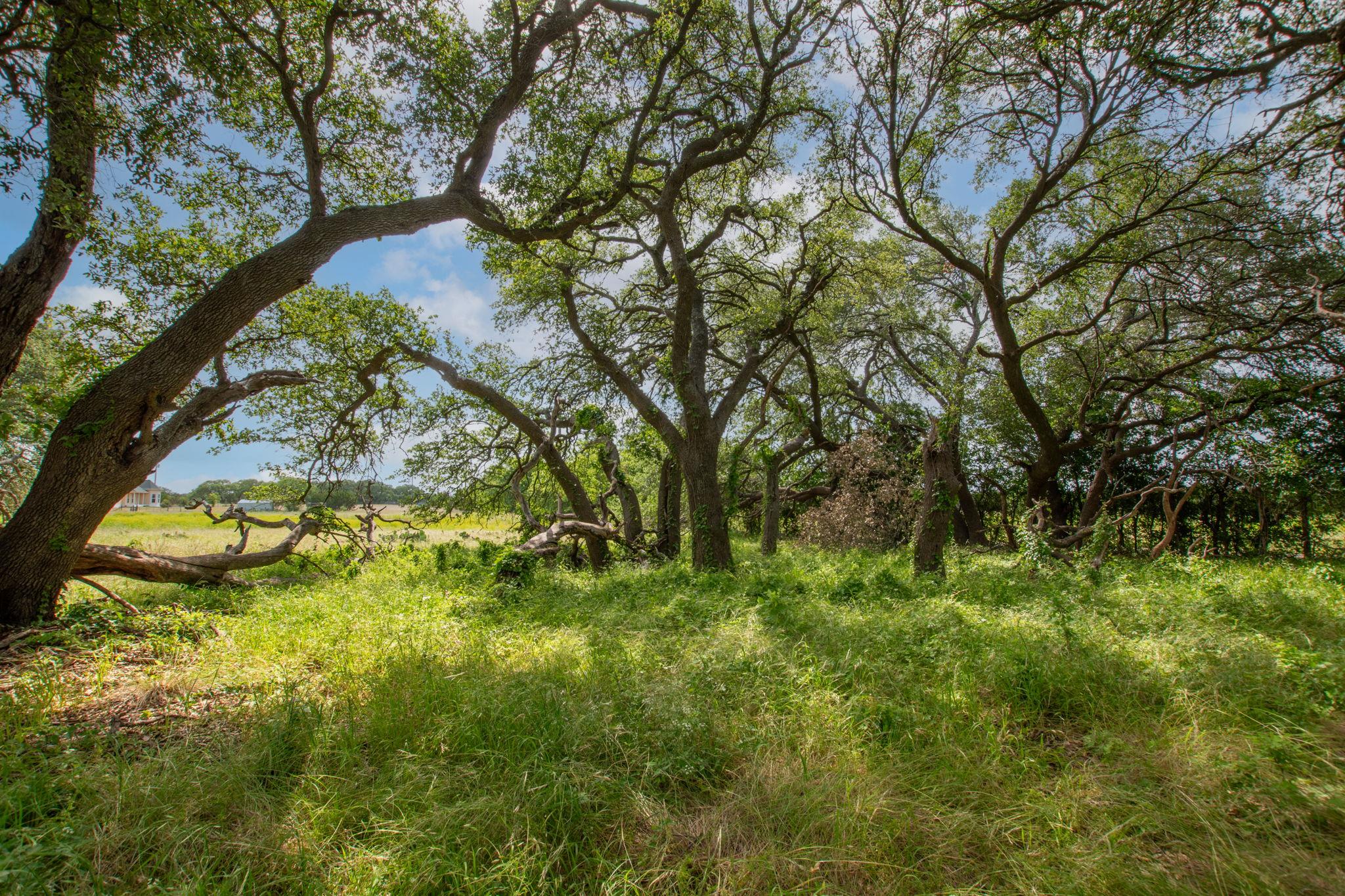 450 Cr 204 None Property Photo 7