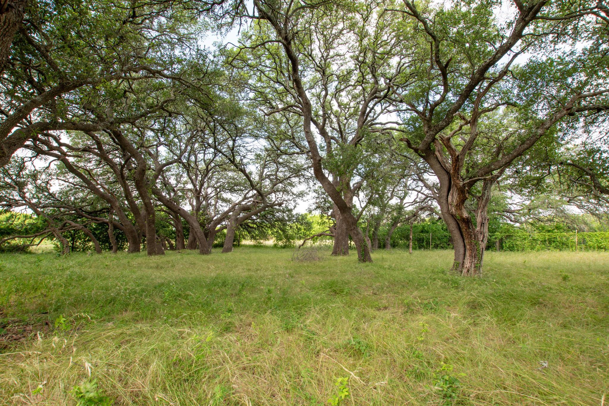450 Cr 204 None Property Photo 25
