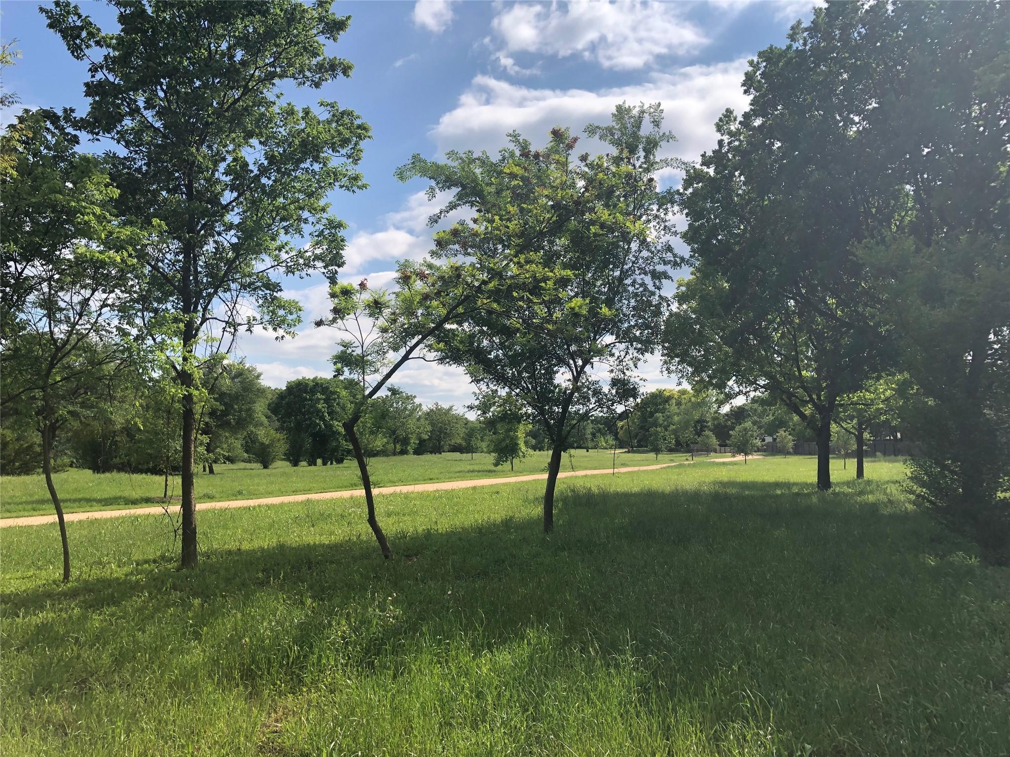 12913 Marimba Trl Property Photo 19