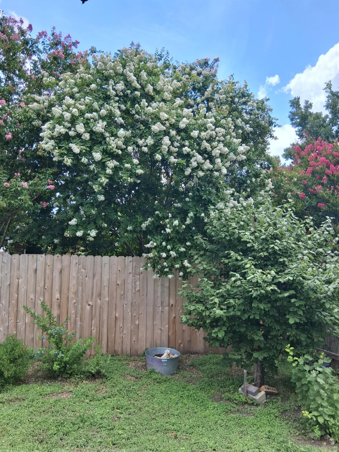 106 Wild Plum None Property Photo 26