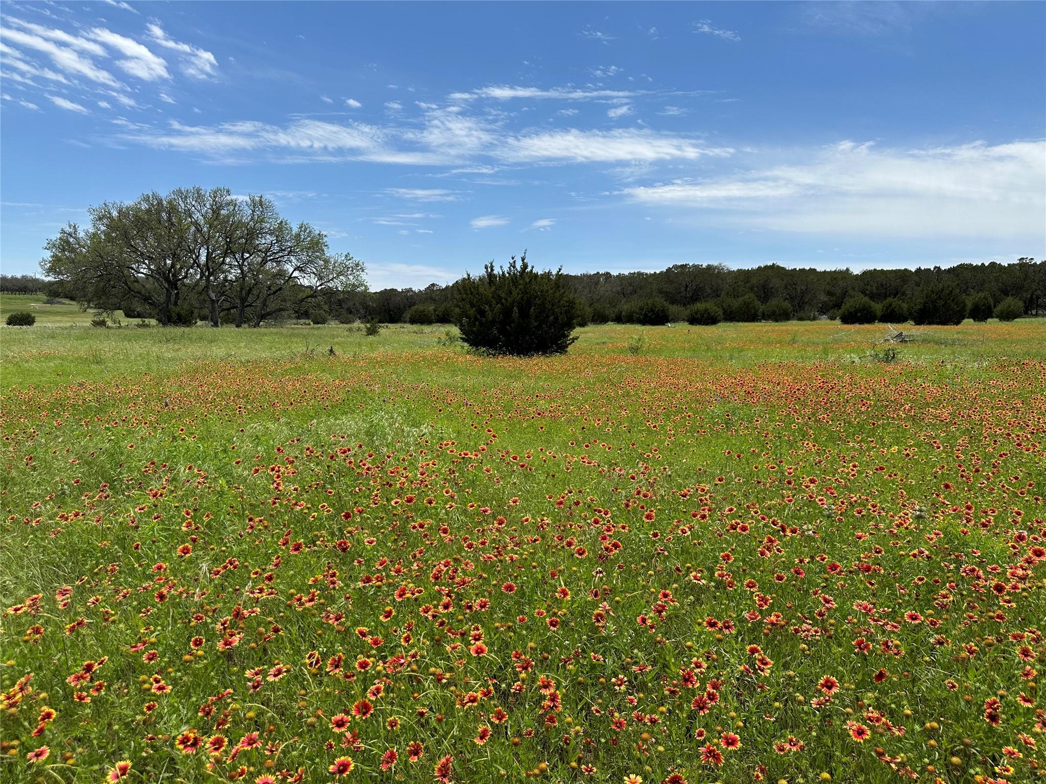 Lot 158 Addax Ct Property Photo
