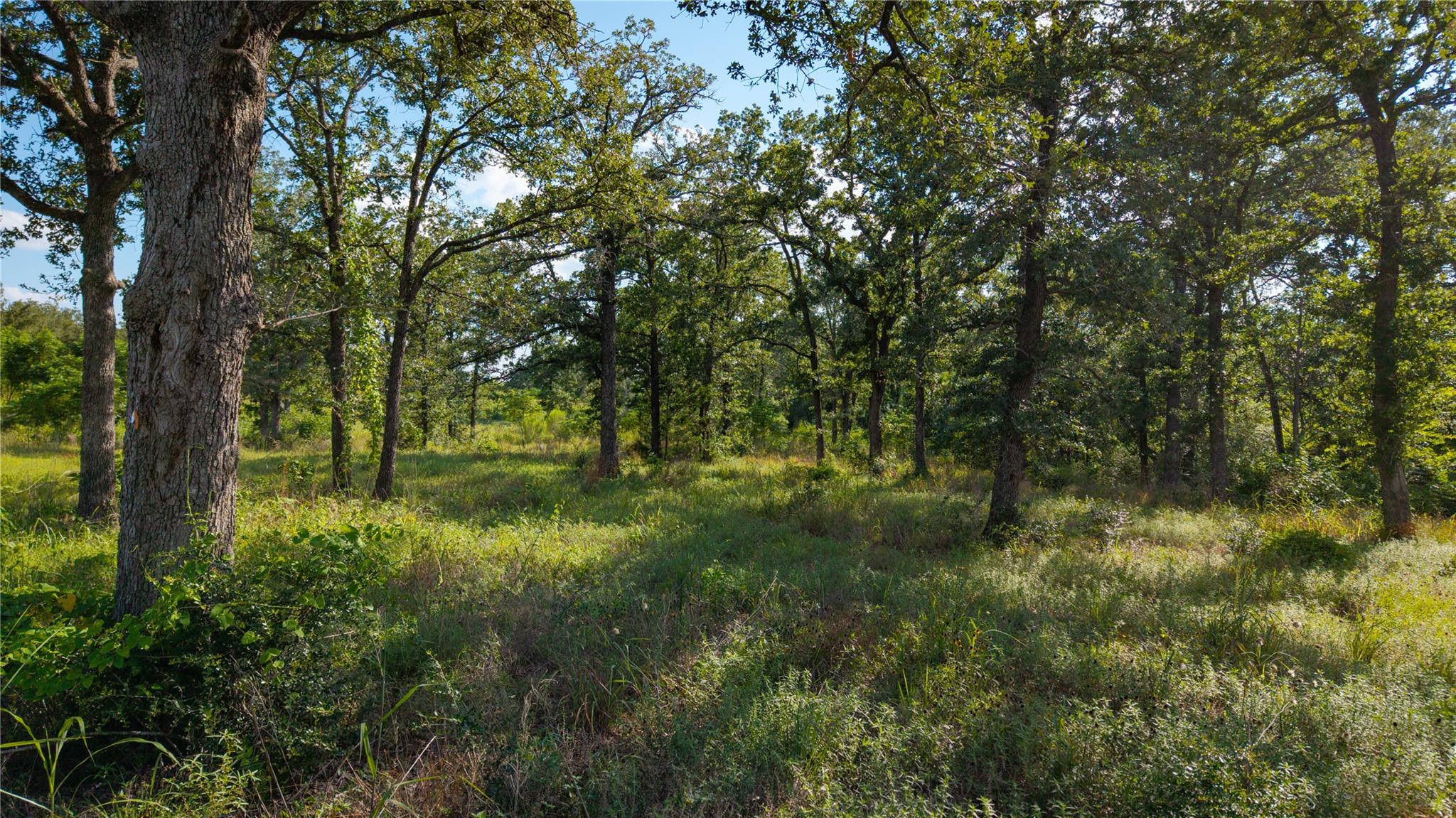 206 Sayers Rd Property Photo 5