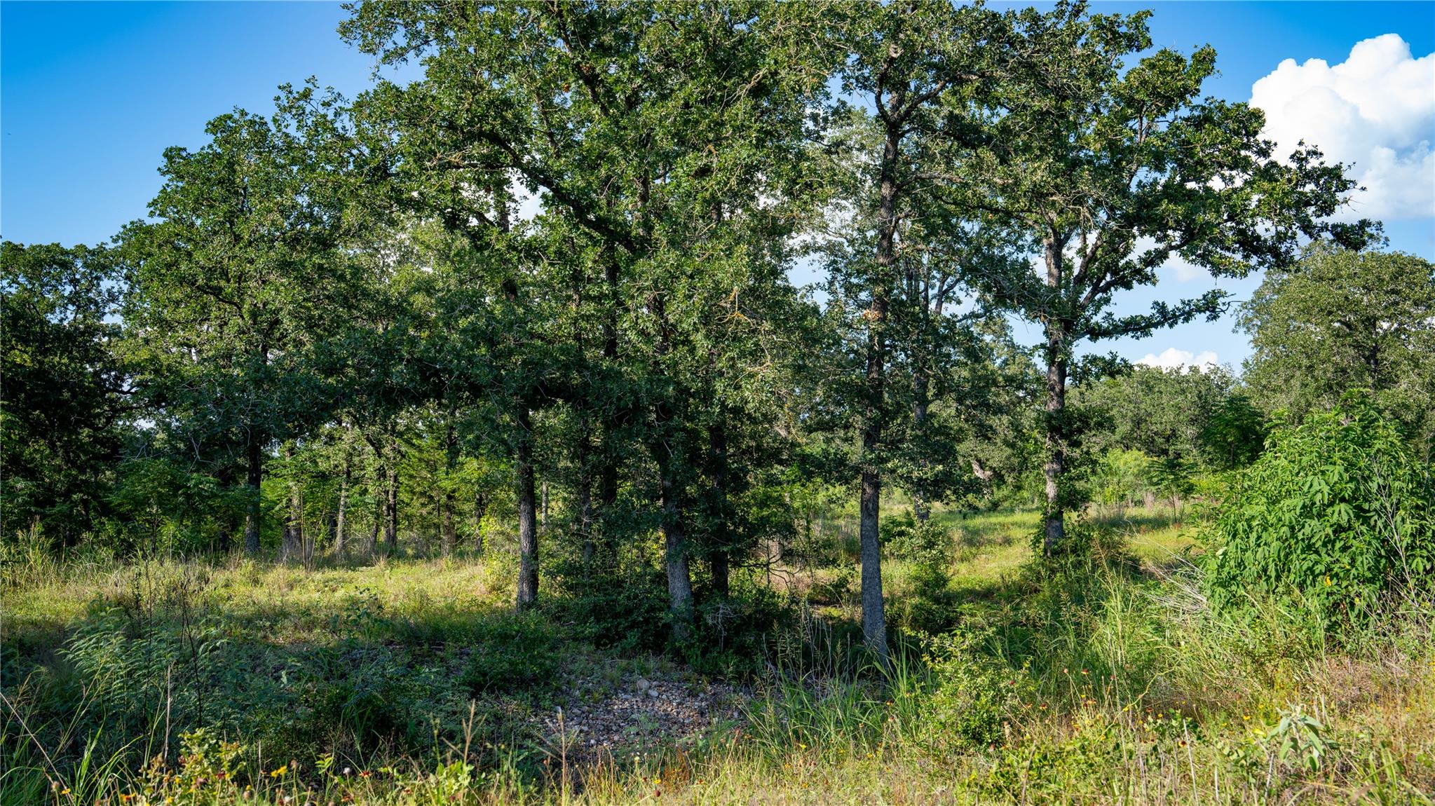 206 Sayers Rd Property Photo 11