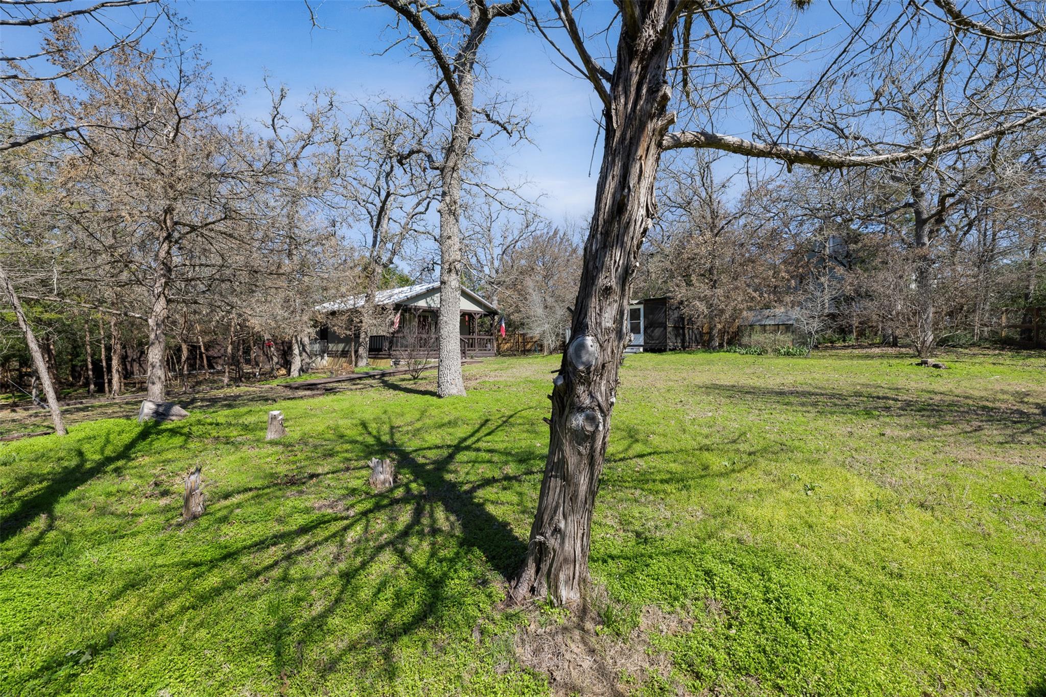316 Woodvine Ln Property Photo 19