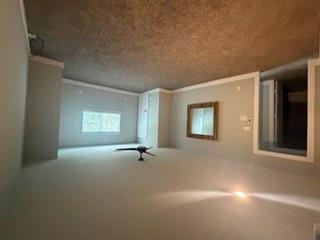 2411 Sunset Mist Ln Property Photo 23