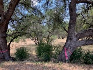 Tbd Pinkerton Loop Property Photo 4