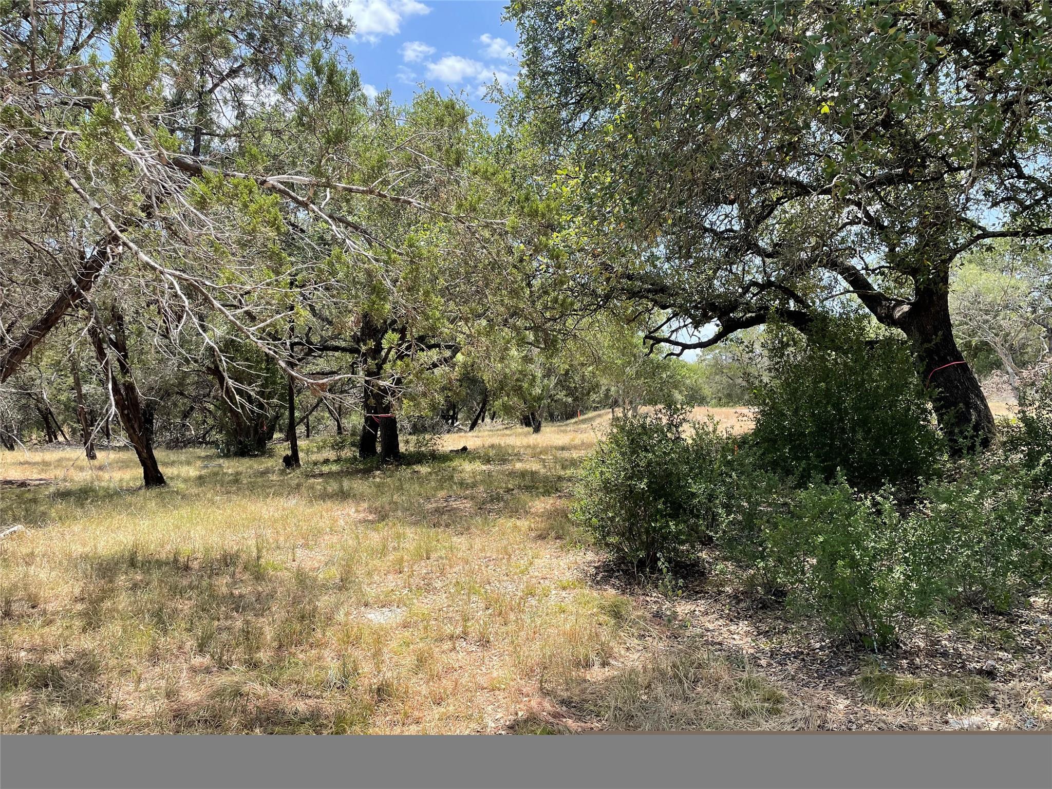 Tbd Pinkerton Loop Property Photo 6