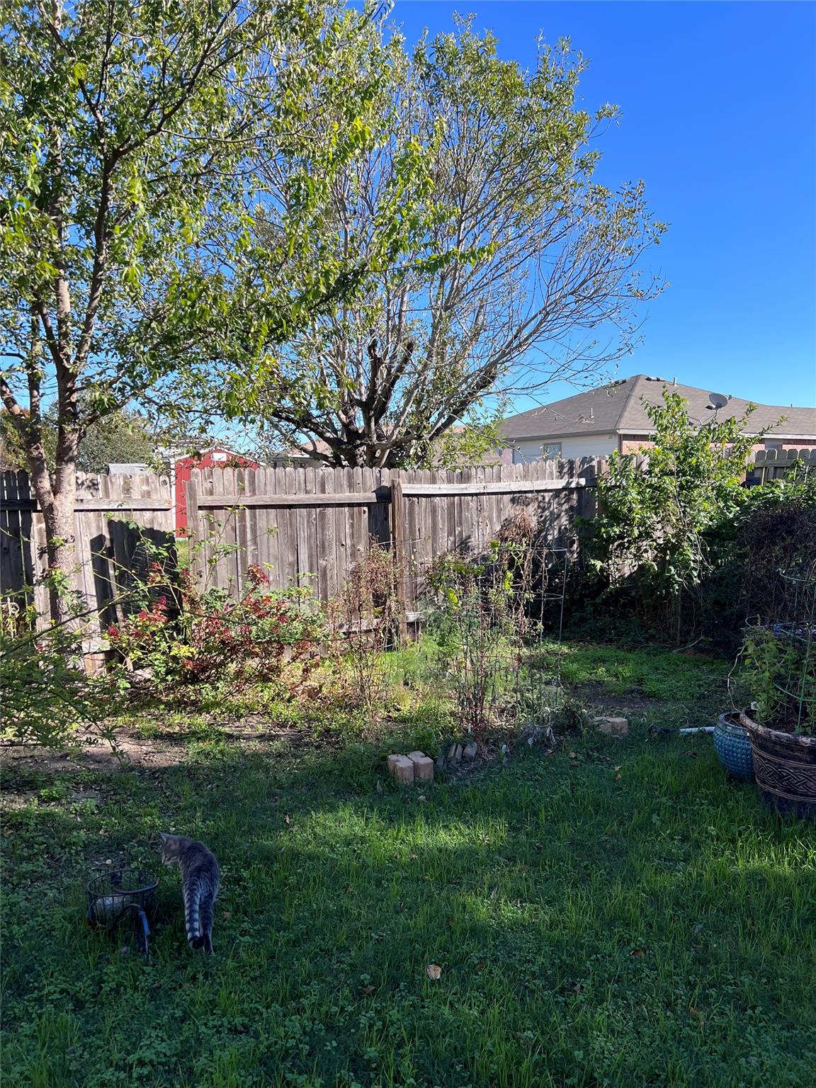 2406 Love Rd Property Photo 4
