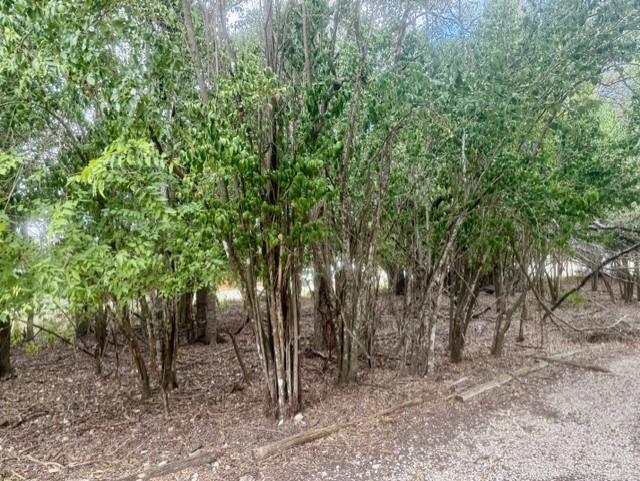 5889612 Property Photo 22