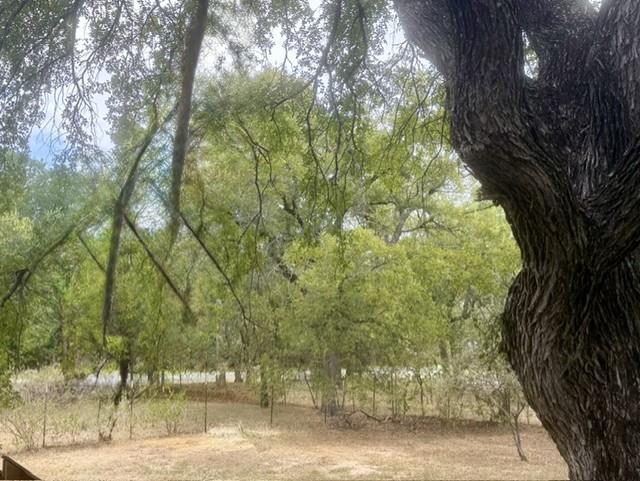 5889612 Property Photo 26