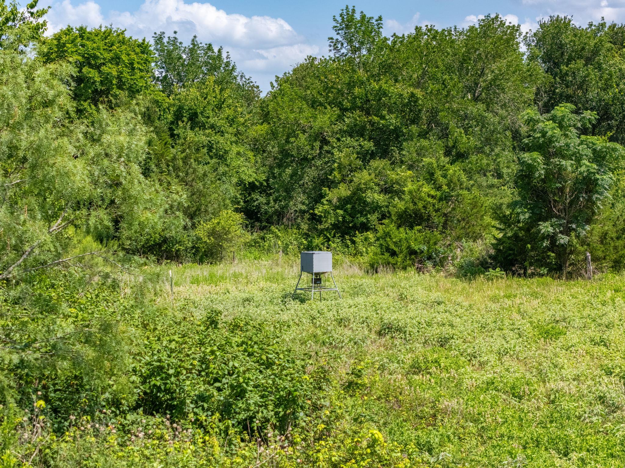 1500 County Road 481 Property Photo 3