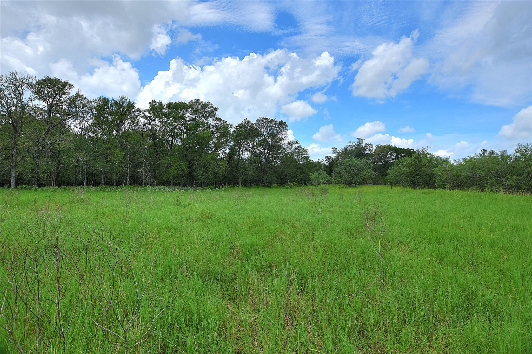 Tbd E Whitworth Ln E Property Photo 3