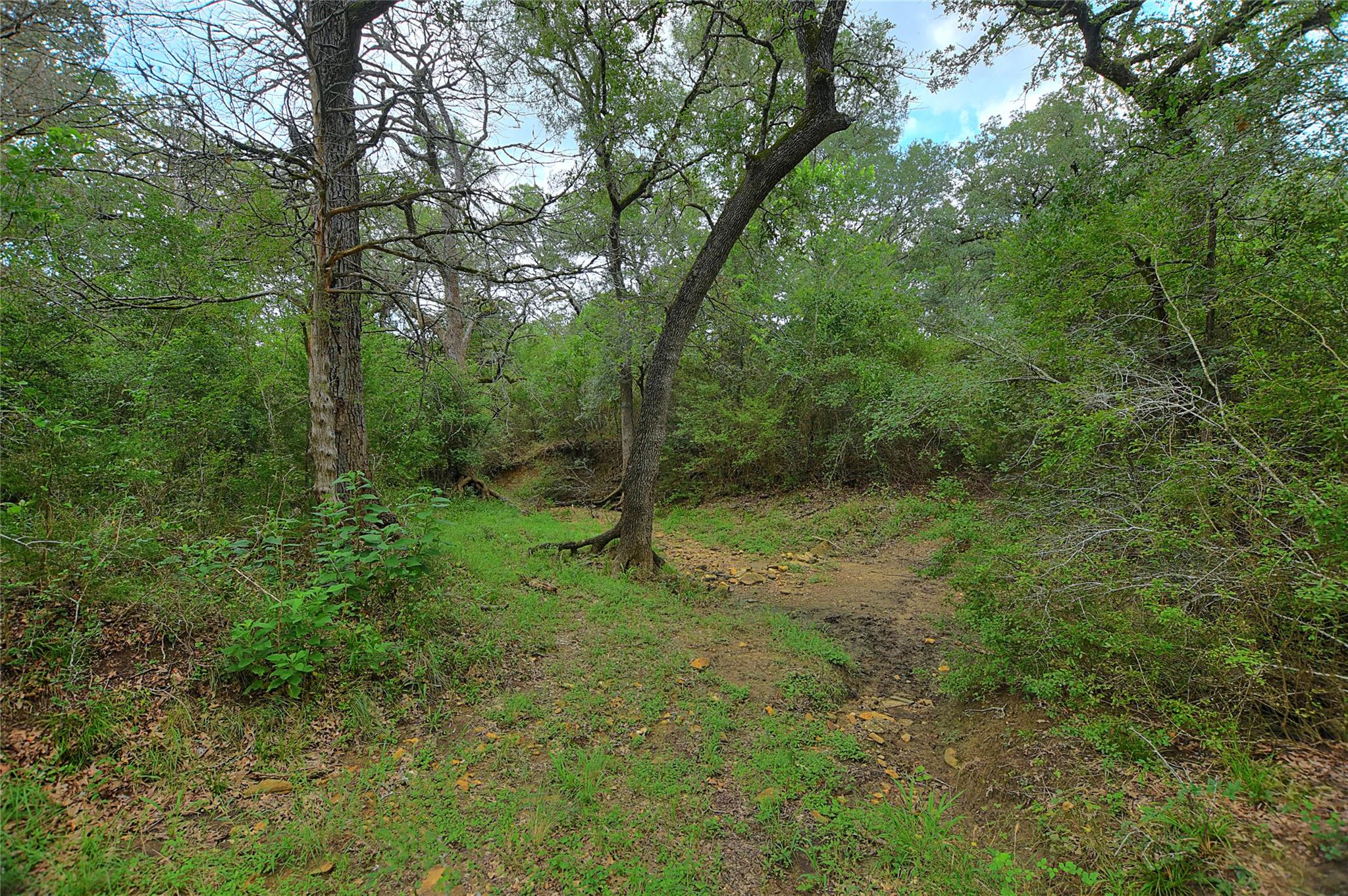 Tbd E Whitworth Ln E Property Photo 9