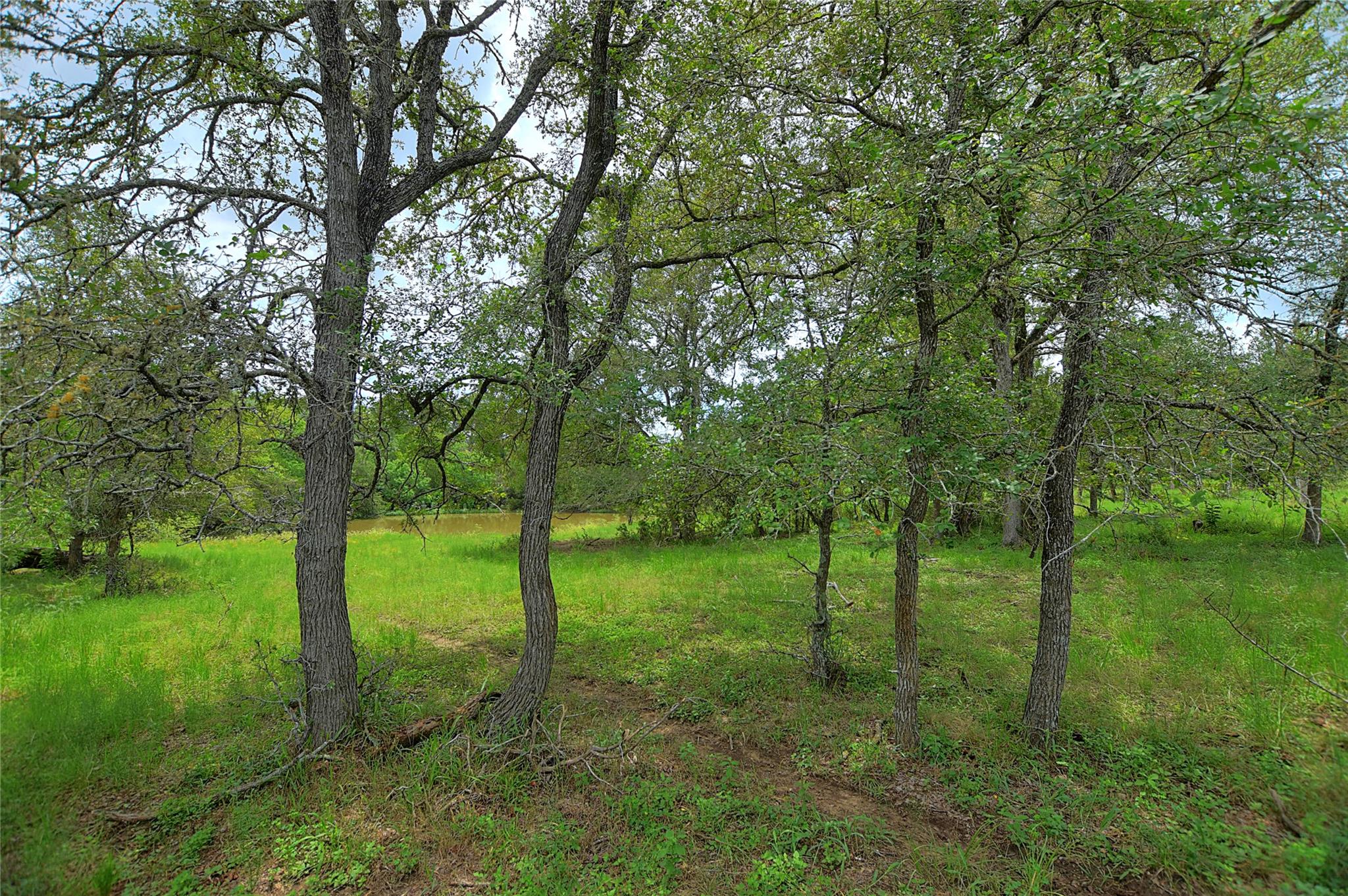 Tbd E Whitworth Ln E Property Photo 12