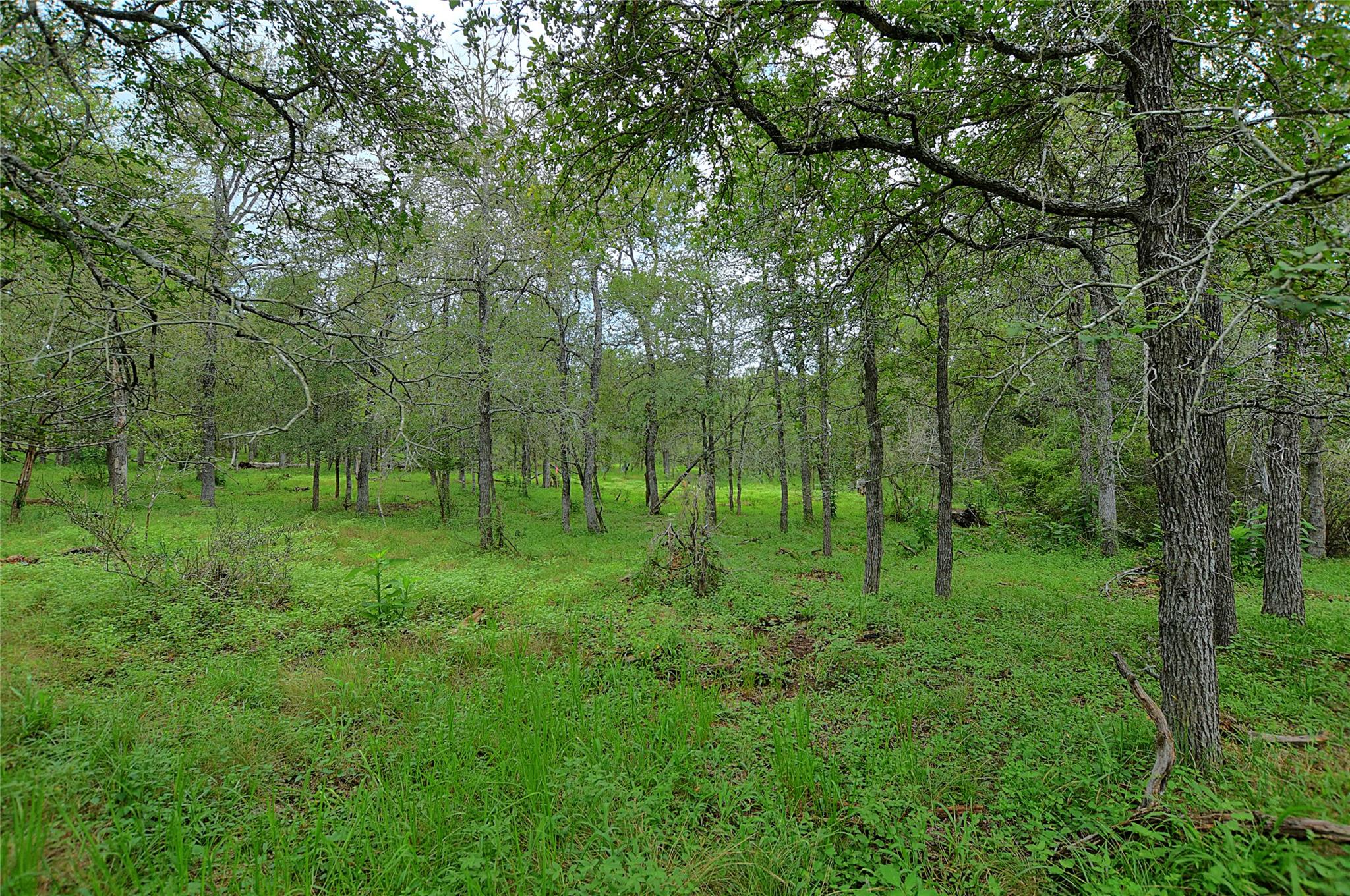 Tbd E Whitworth Ln E Property Photo 13