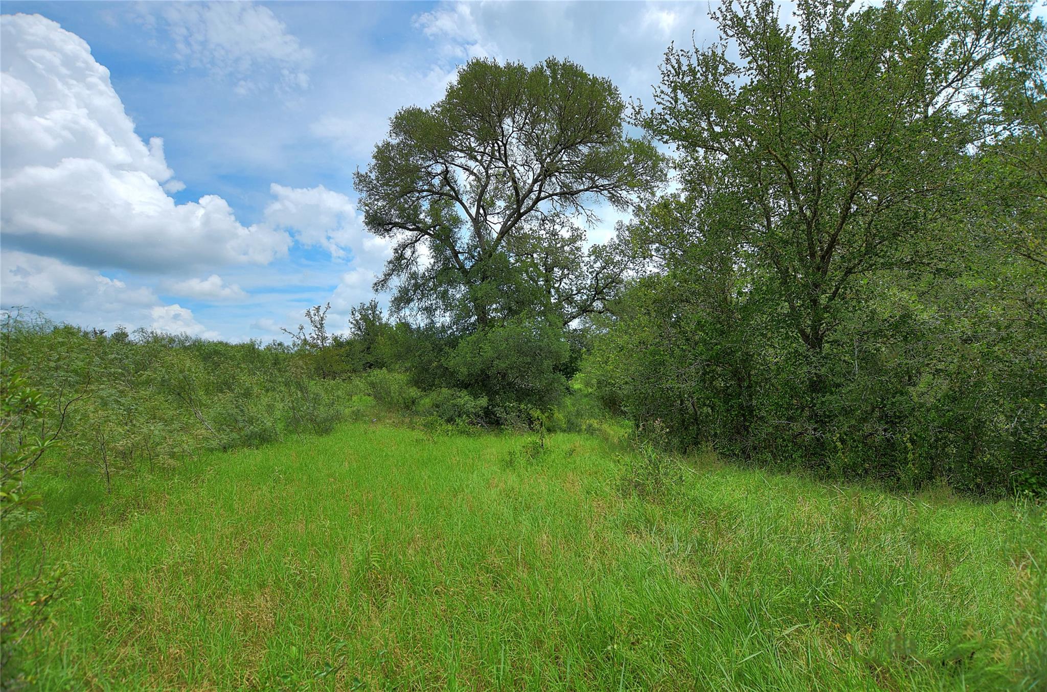 Tbd E Whitworth Ln E Property Photo 18