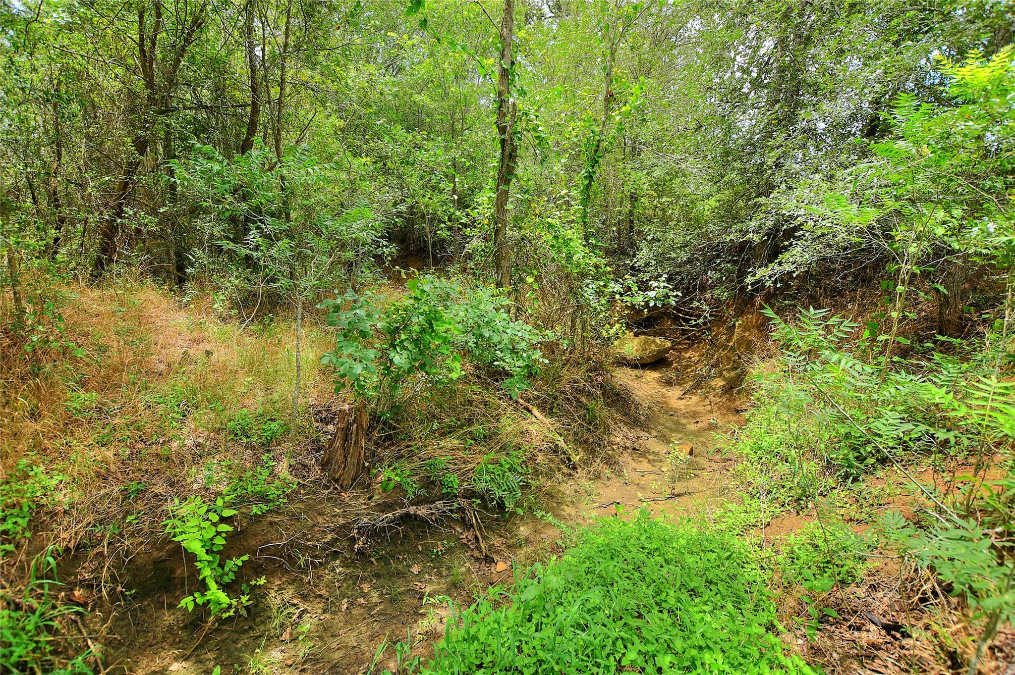 Tbd E Whitworth Ln E Property Photo 19