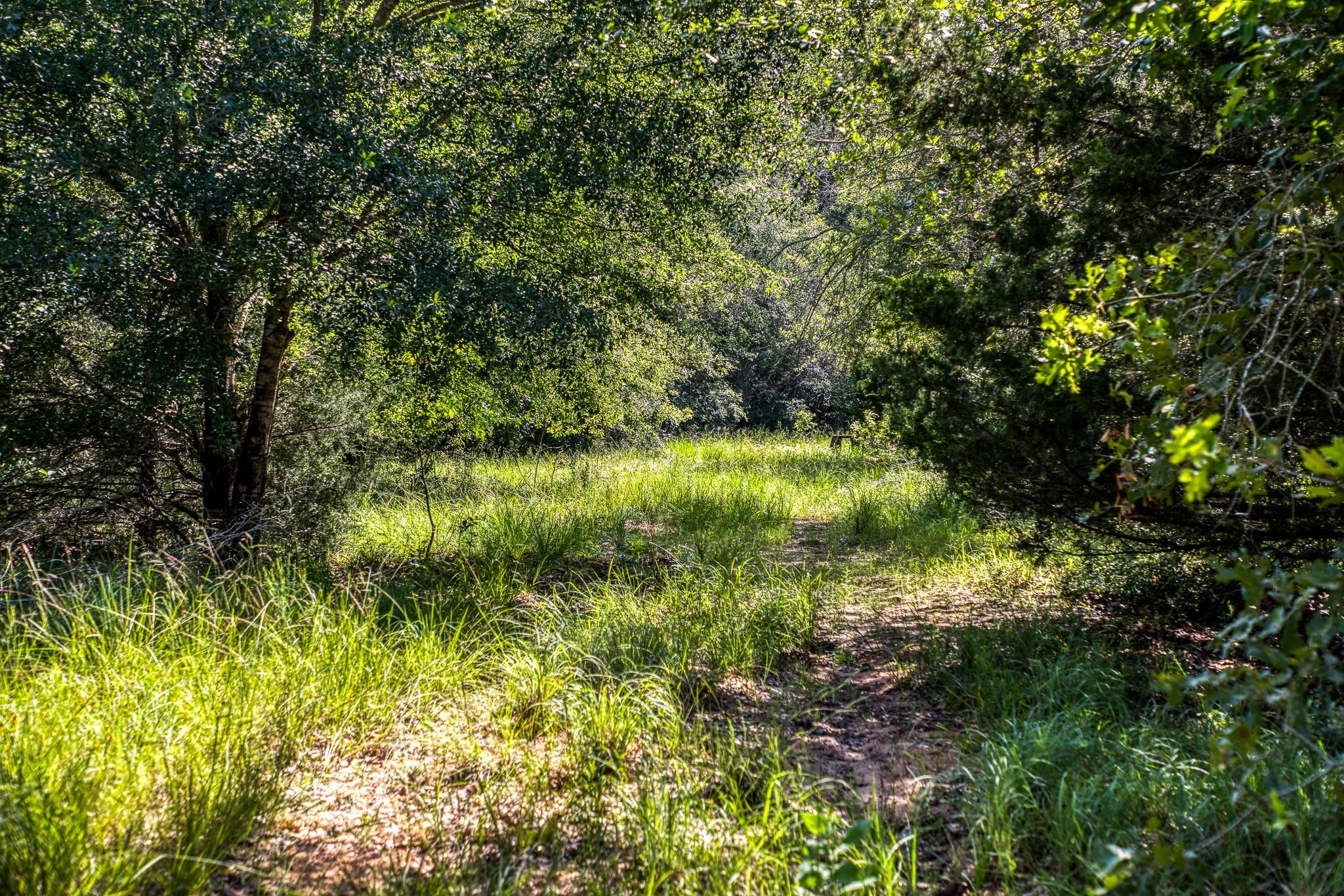 9808 Fm 908 Property Photo 6