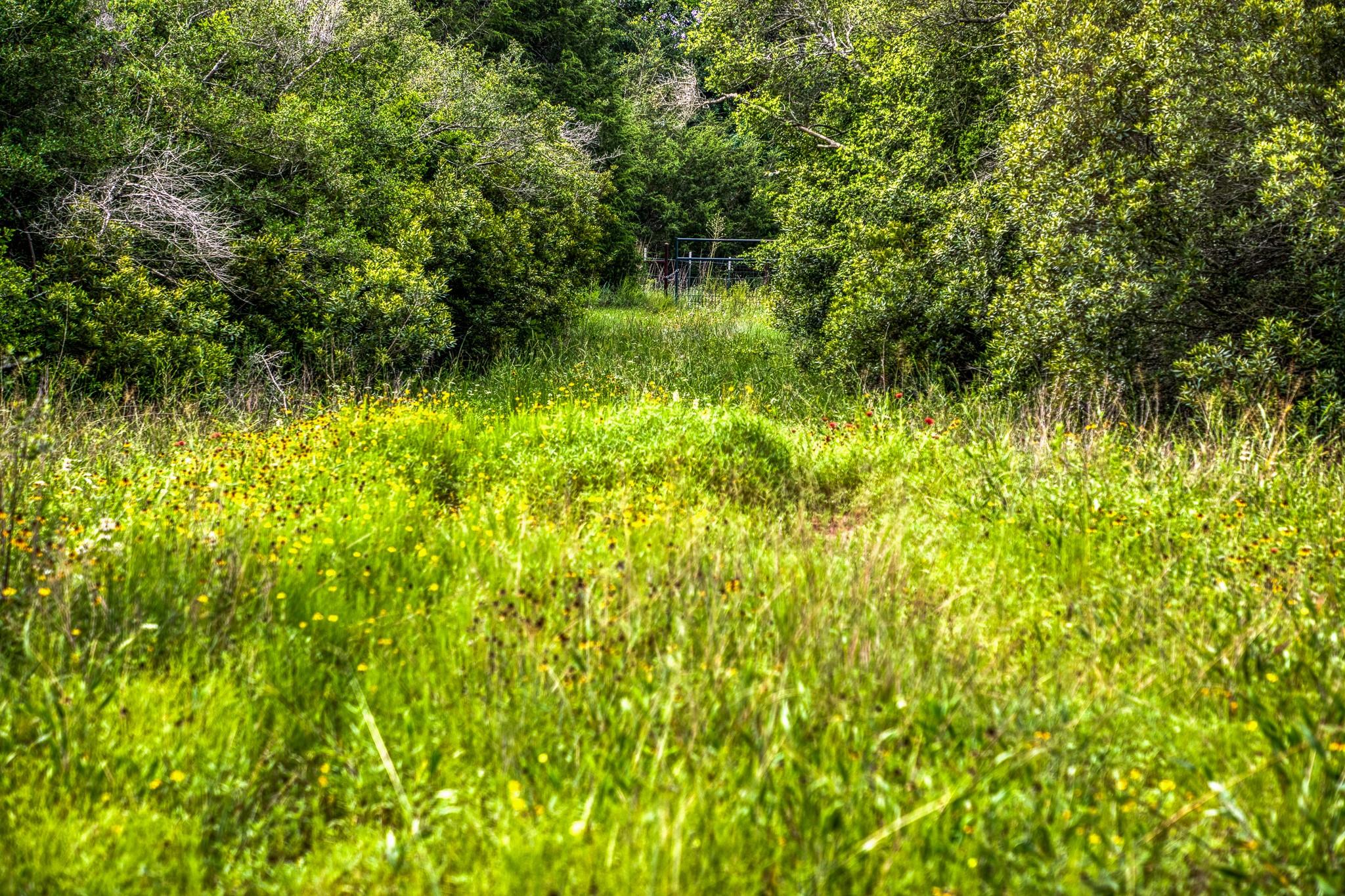 9808 Fm 908 Property Photo 11