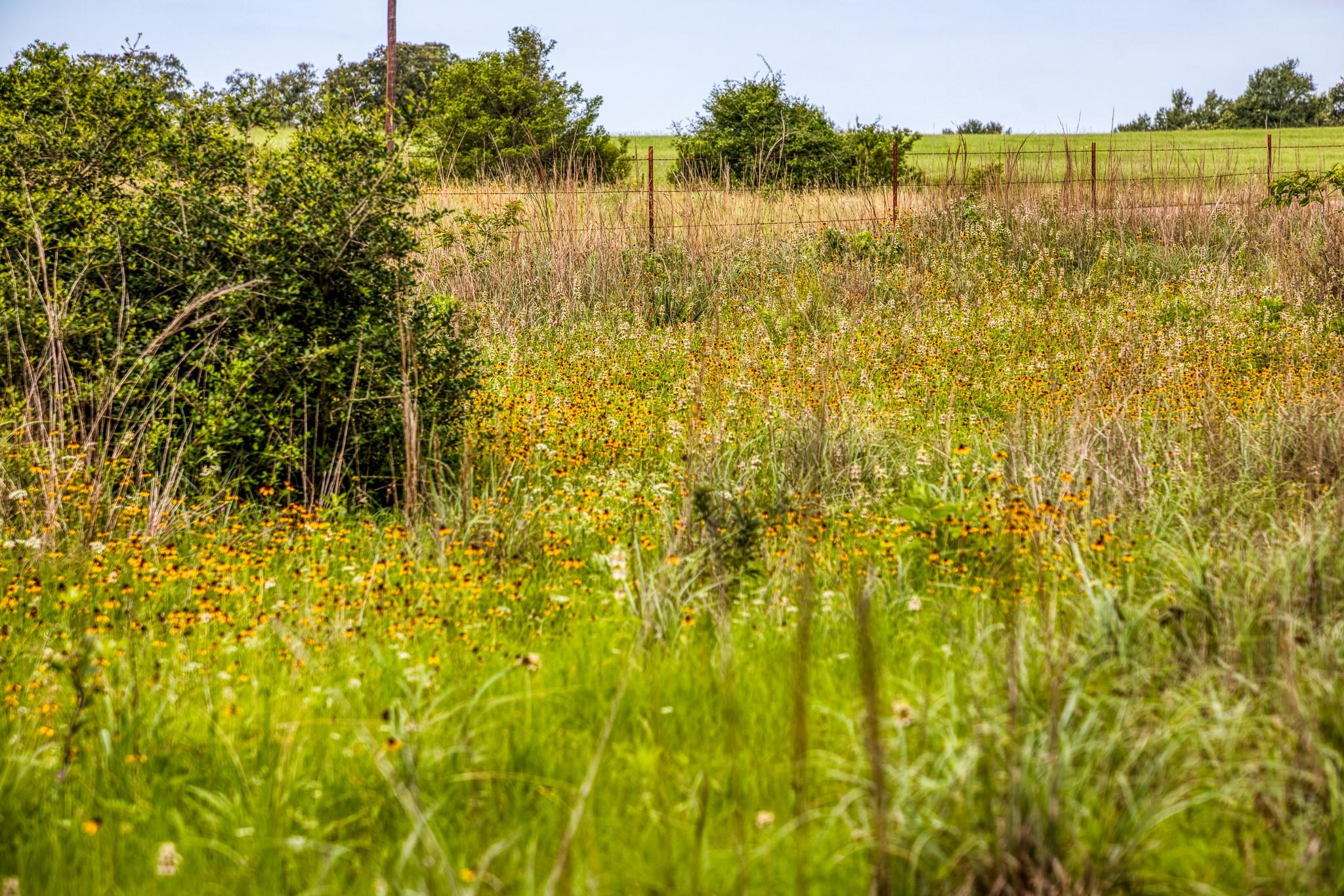 9808 Fm 908 Property Photo 12