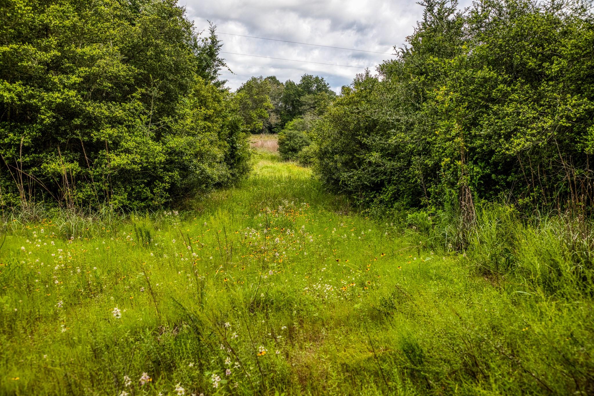 9808 Fm 908 Property Photo 13
